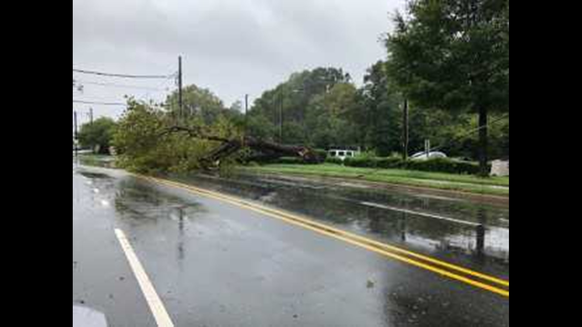 What to do if a tree falls on your home or car during a storm | wcnc.com