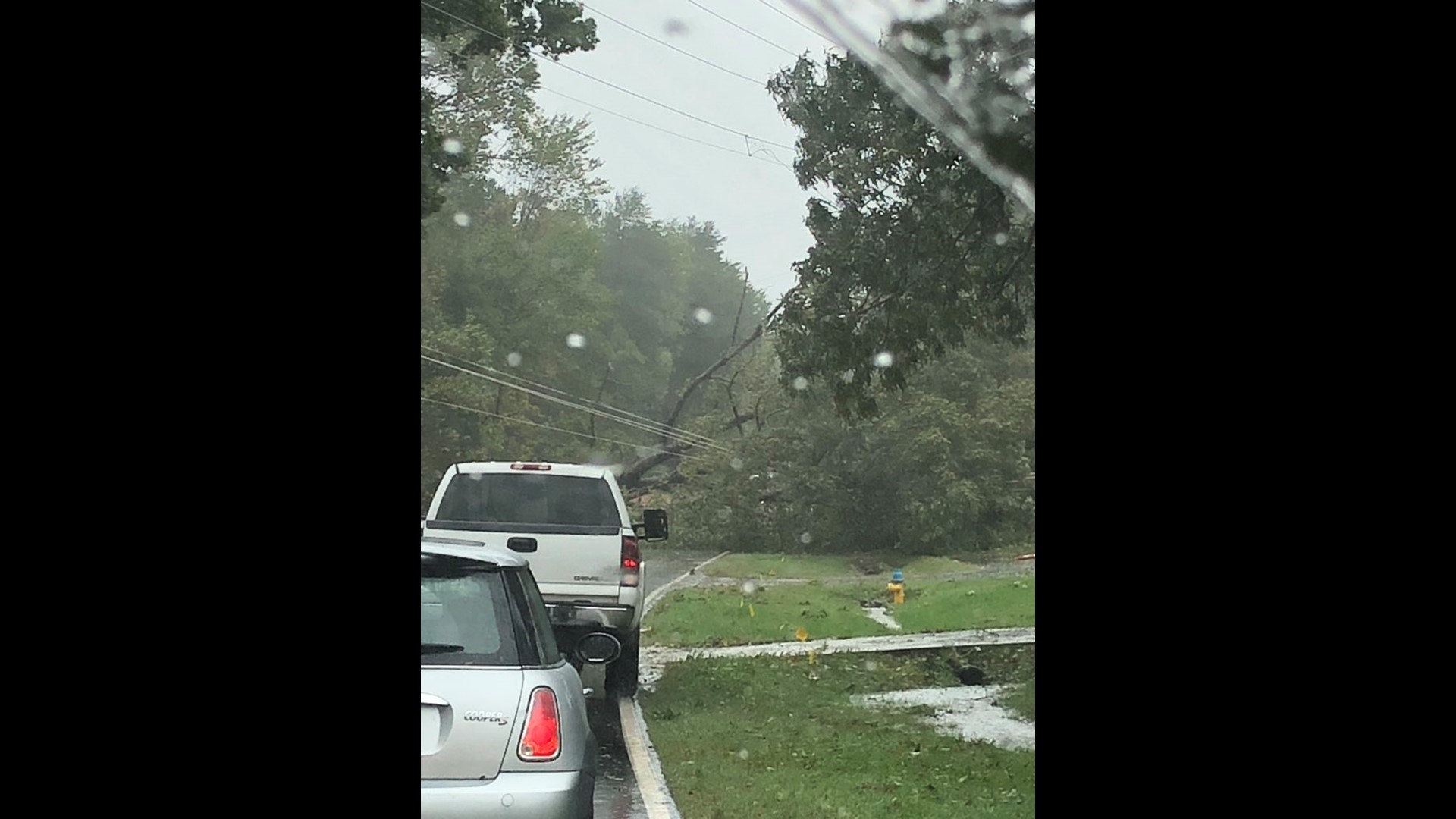 What to do if a tree falls on your home or car during a storm