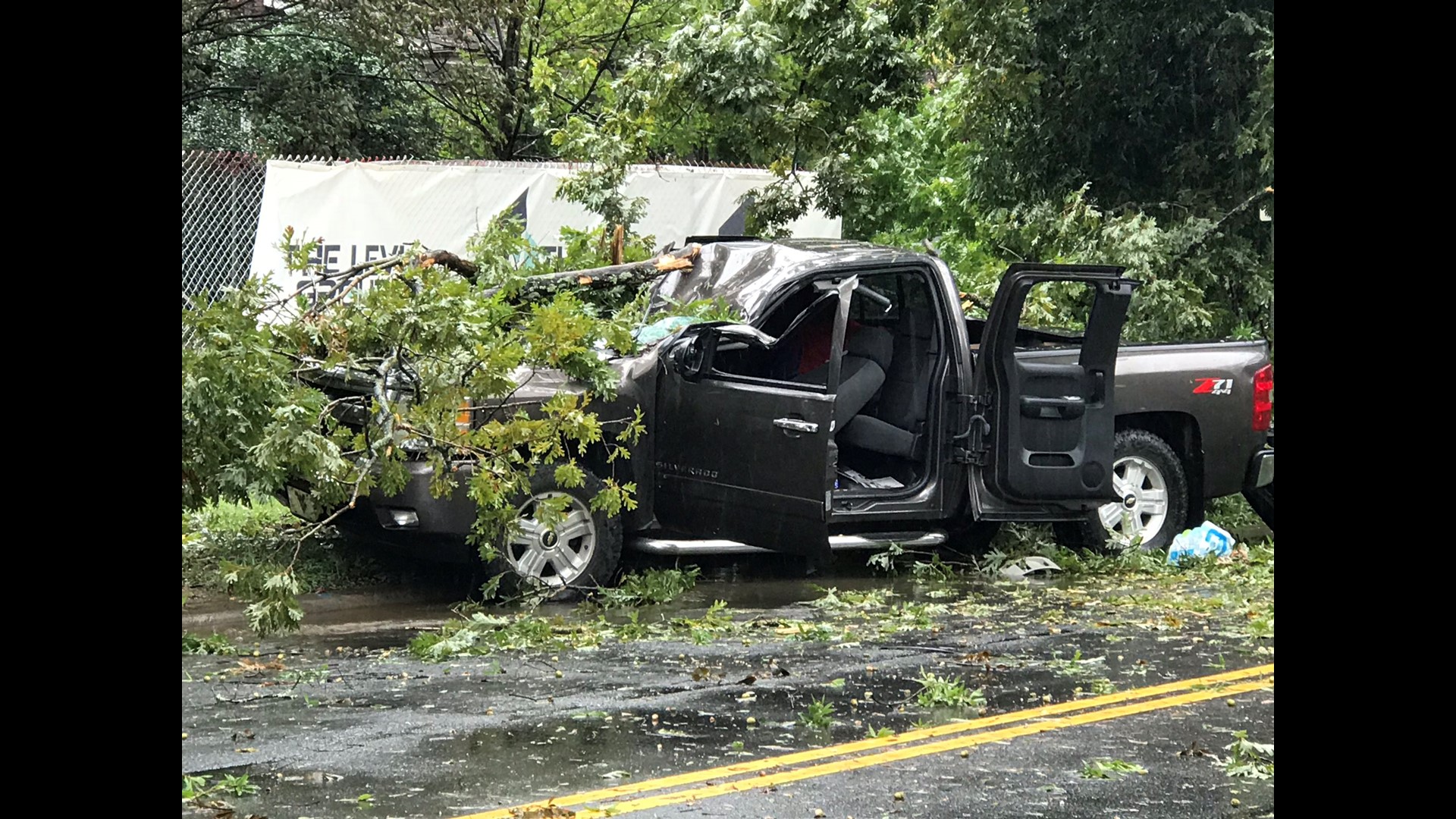 What to do if a tree falls on your home or car during a storm | wcnc.com