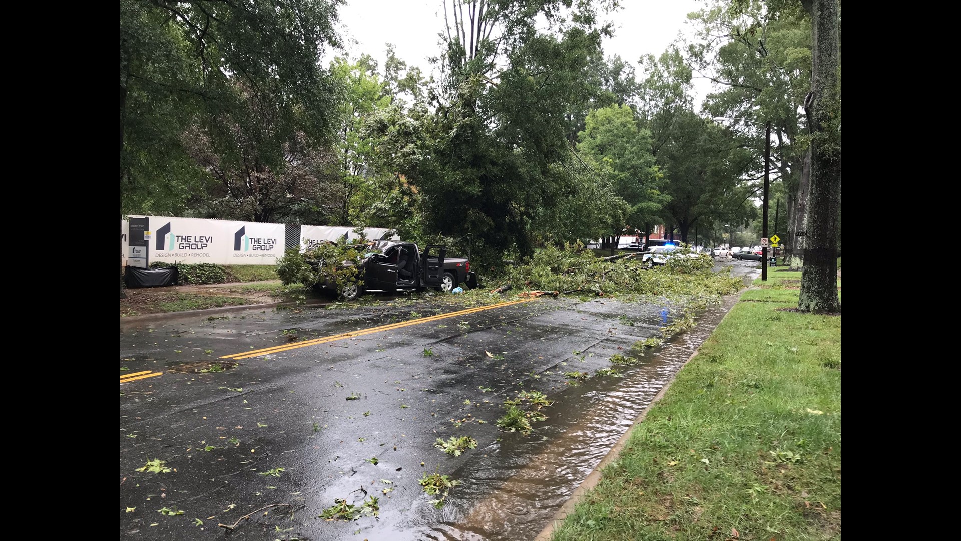 What to do if a tree falls on your home or car during a storm