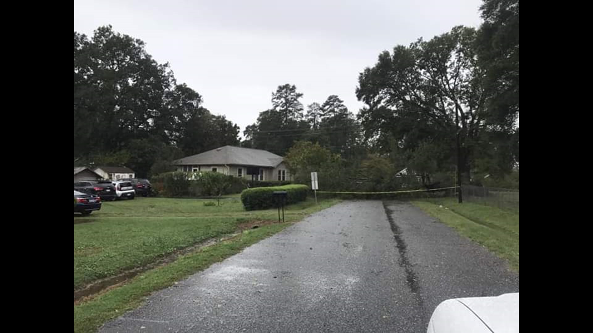 What to do if a tree falls on your home or car during a storm | wcnc.com