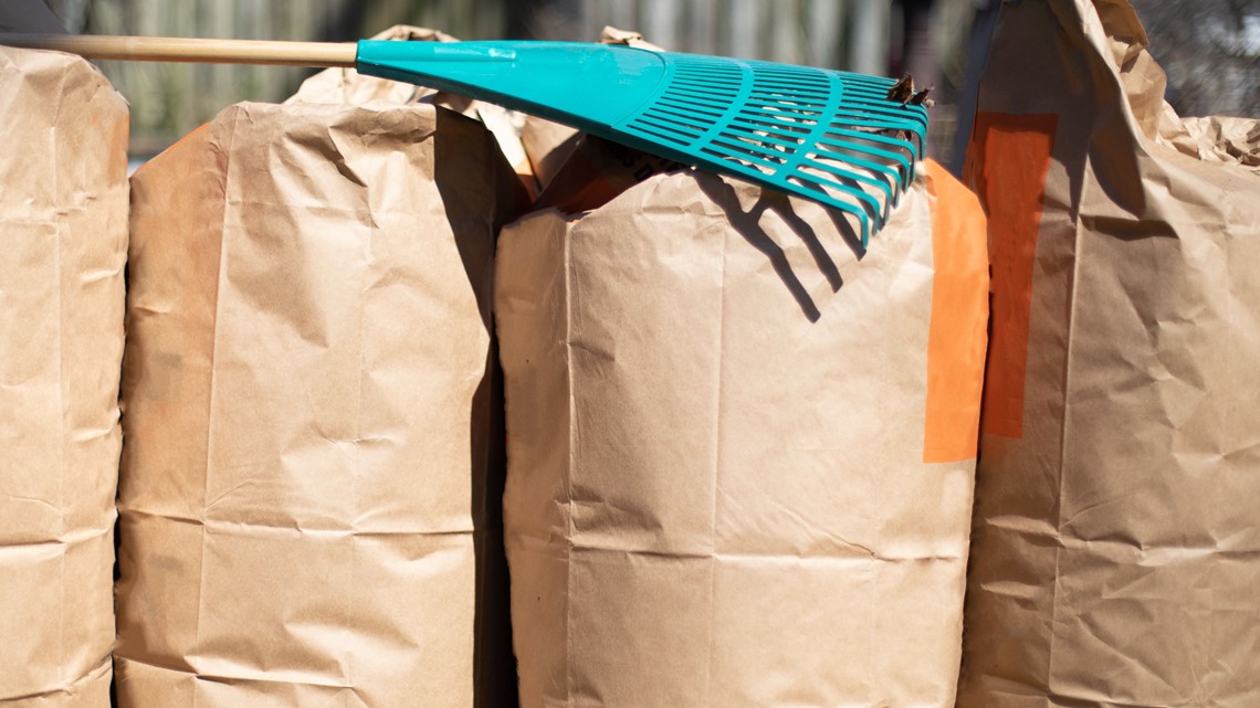 Paper Bags Of Yard Waste Beside Street Stock Photo - Download