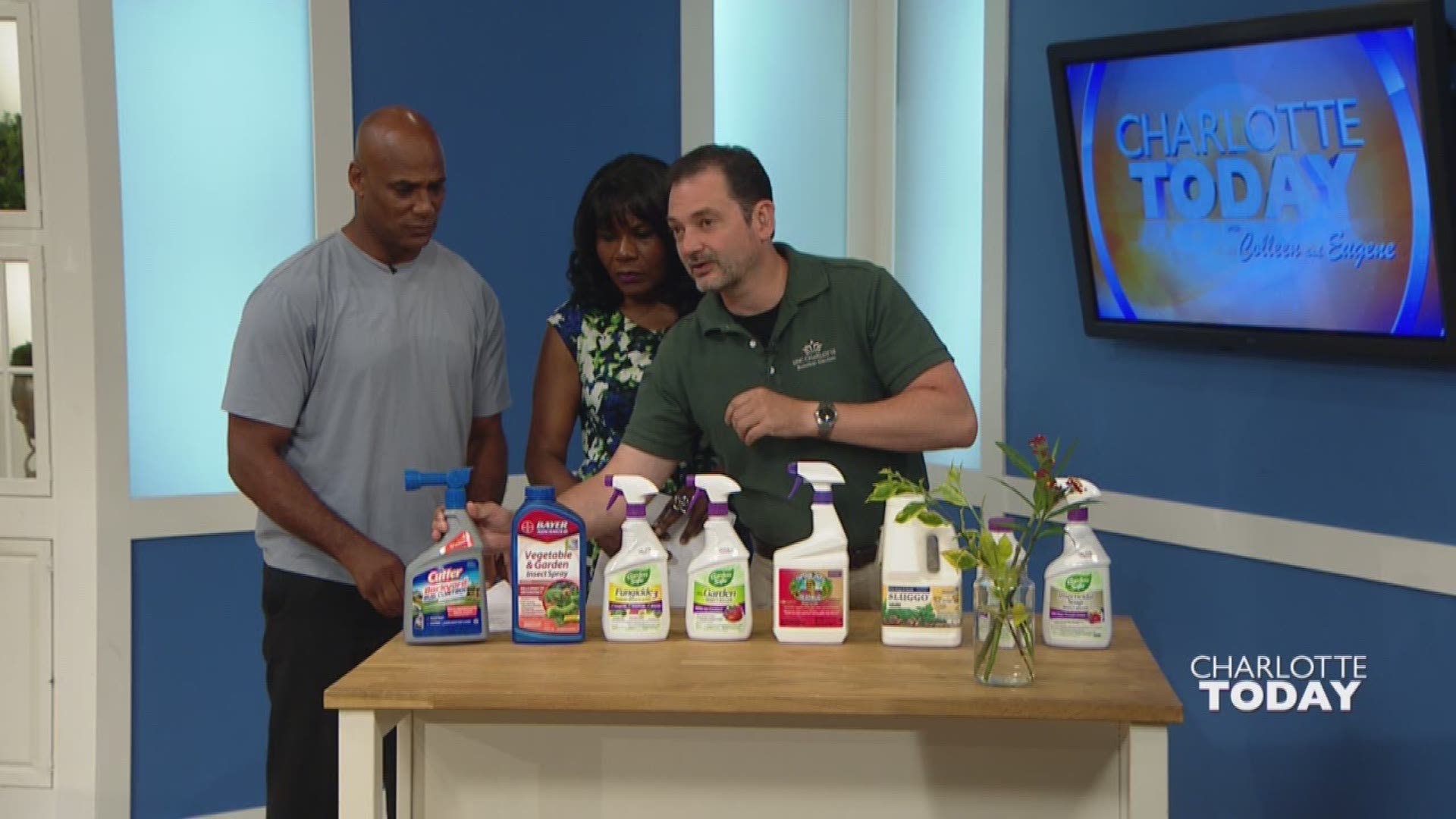 Watch: How to keep pests out of your garden | wcnc.com