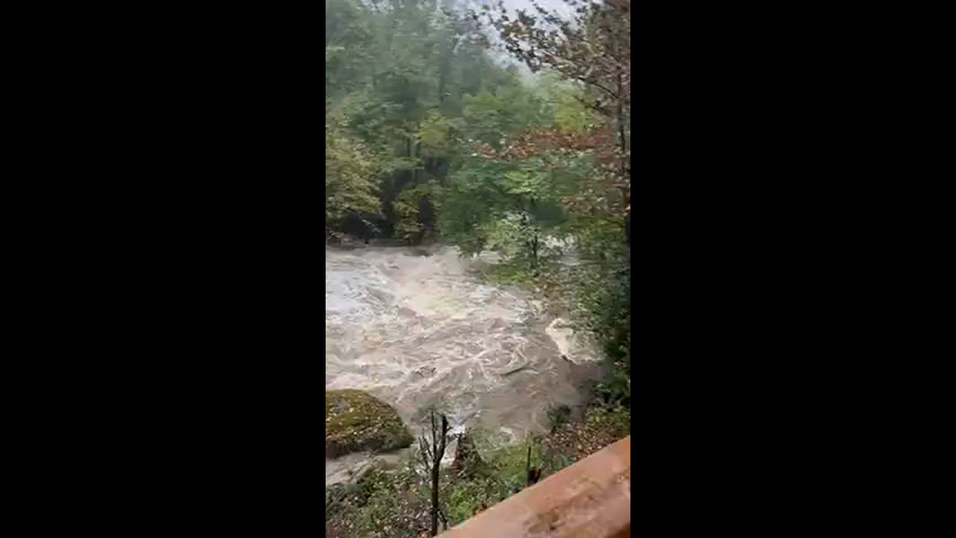 Winkler’s Creek just behind Boone Mall. Never seen it like this in 60 years.
Credit: Susan McInerney