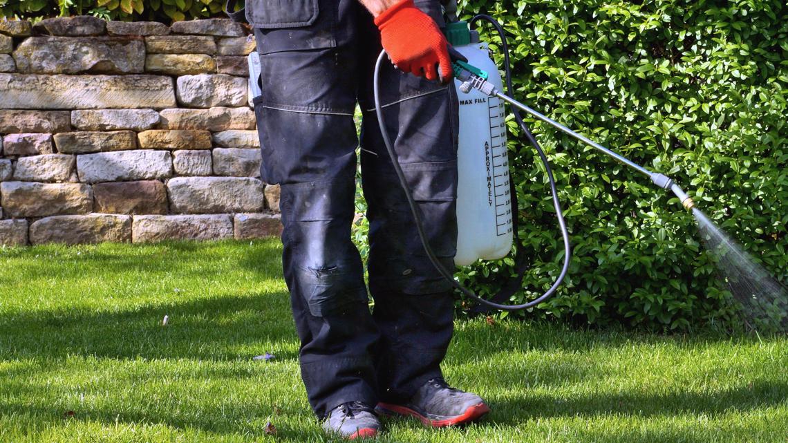 Why pesticides should not be your first option