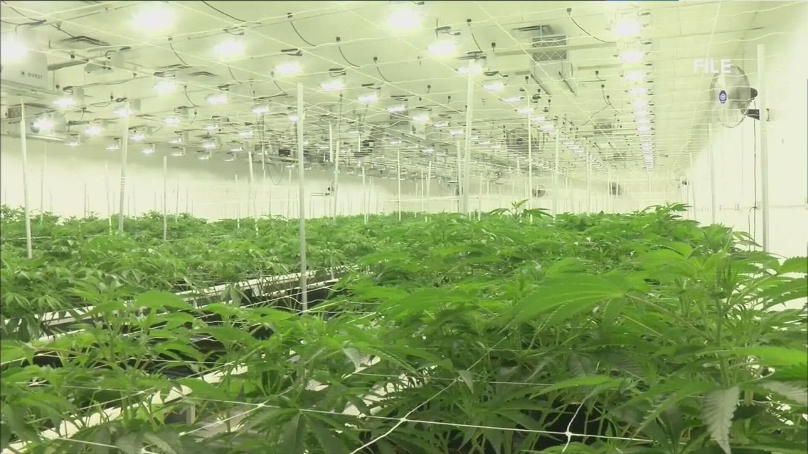 North Carolina Gov. Stein Creates Advisory Council to Regulate Cannabis Market