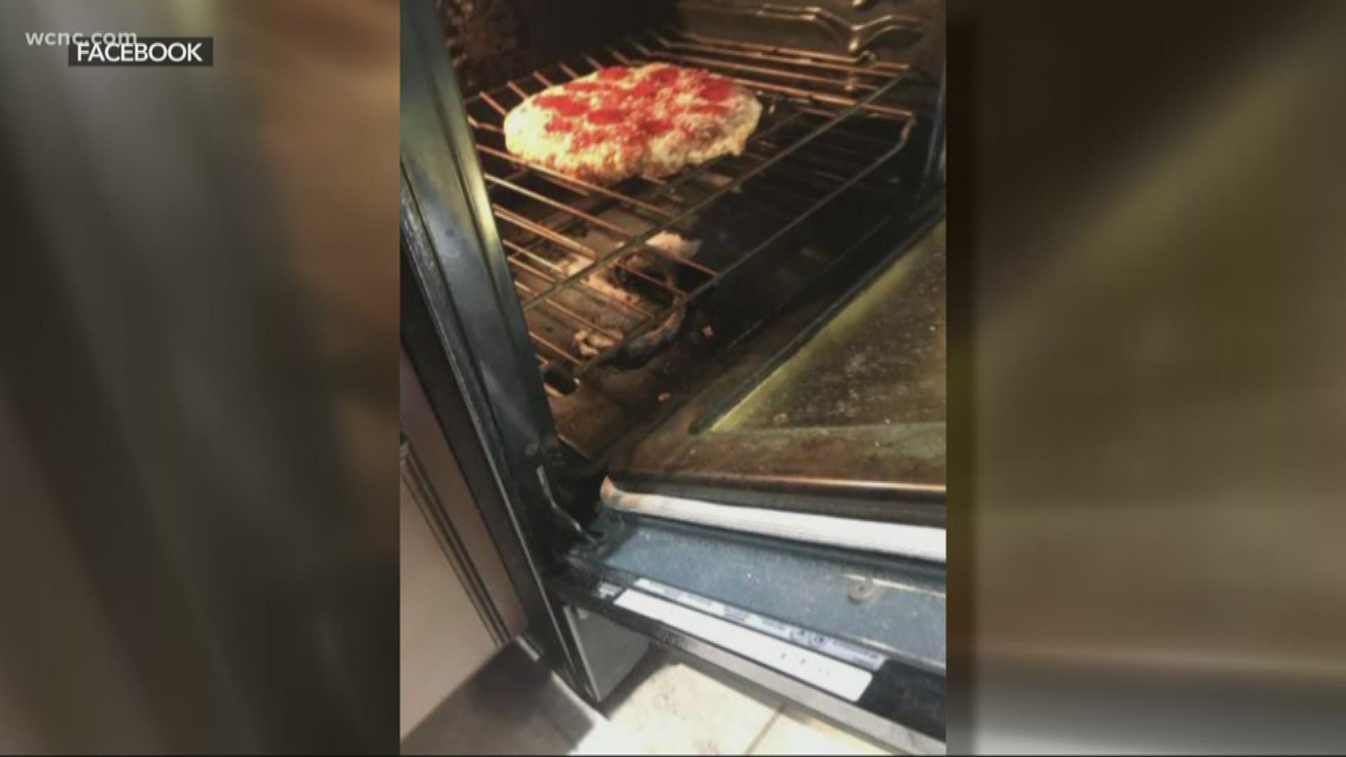 The family said they found the snake while baking a pizza. They noticed smoke fill the kitchen before realizing it was a snake in the oven.