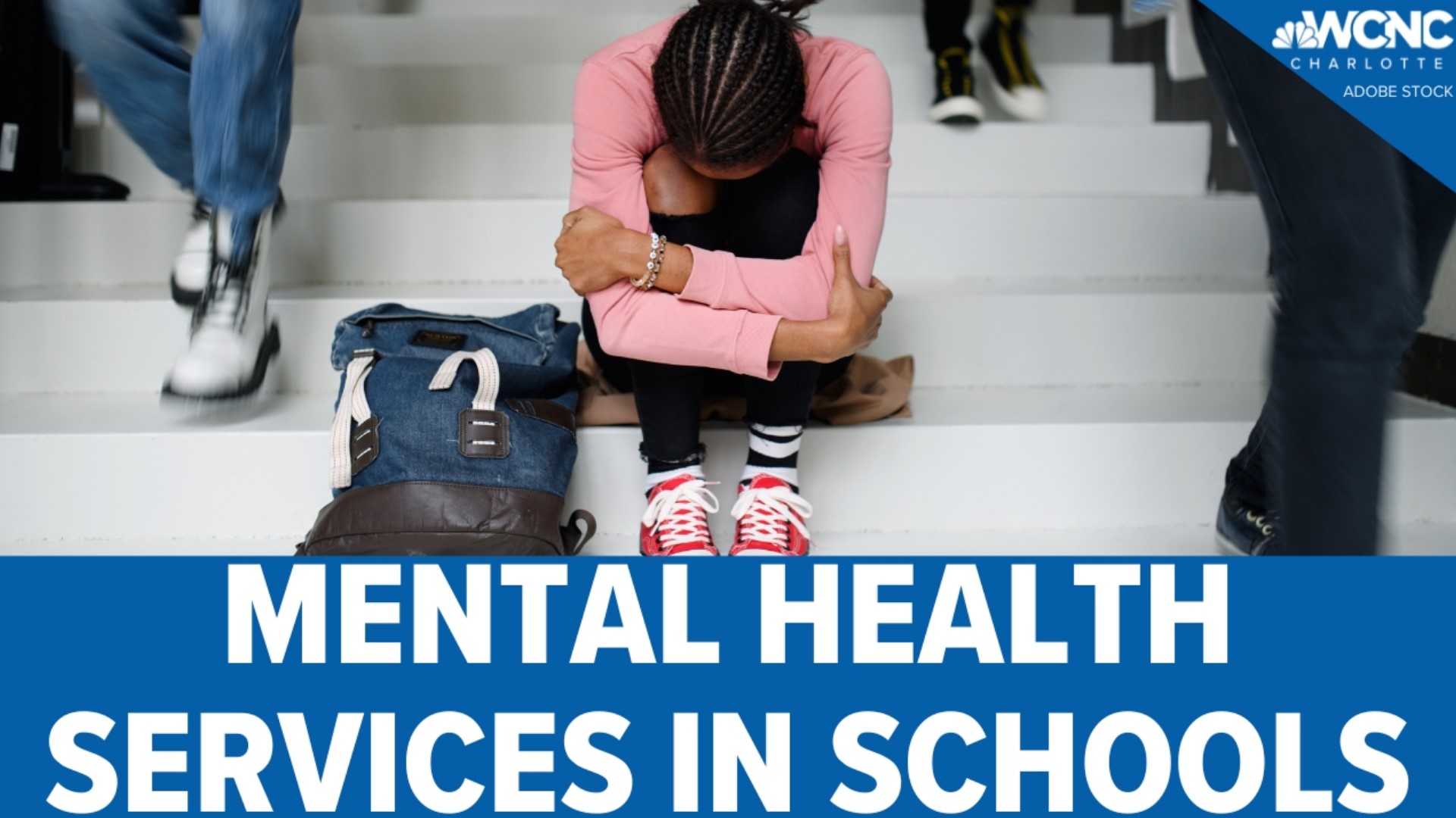 Last school year, Rock Hill Schools was the first school district in the area to create a mental health department.