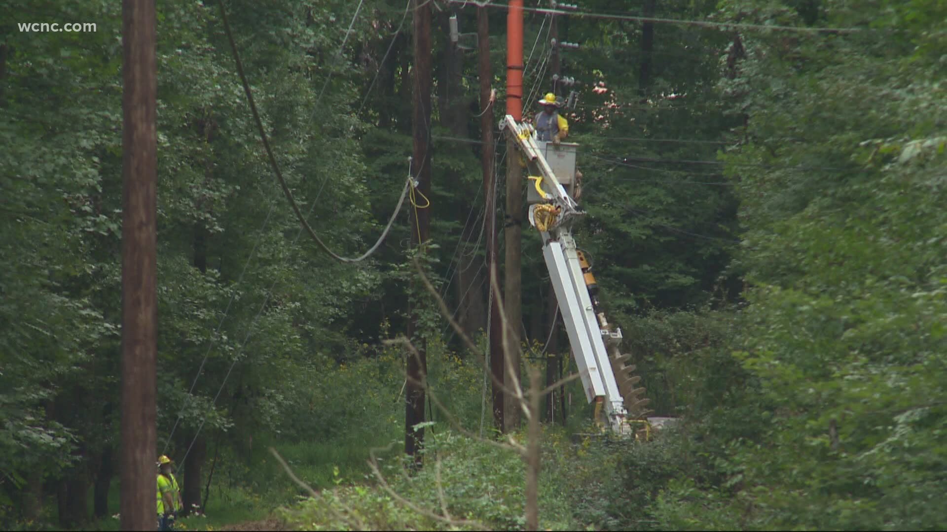 While the many trees in south Charlotte neighborhoods add to their value, they also are likely to take down a power line.