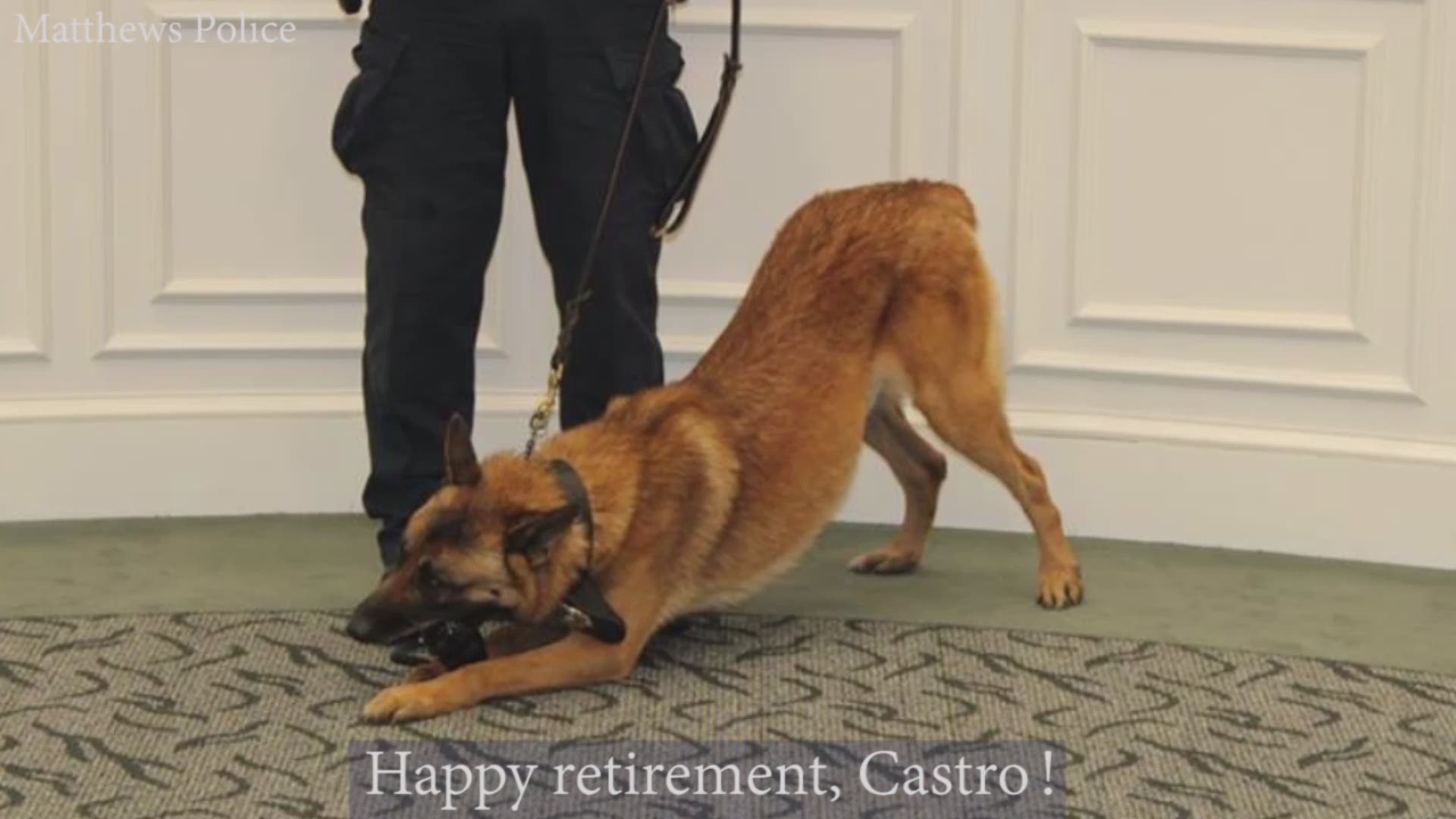 The board of commissioners recognized Castor for his service as a dual purpose narcotics and apprehension dog.