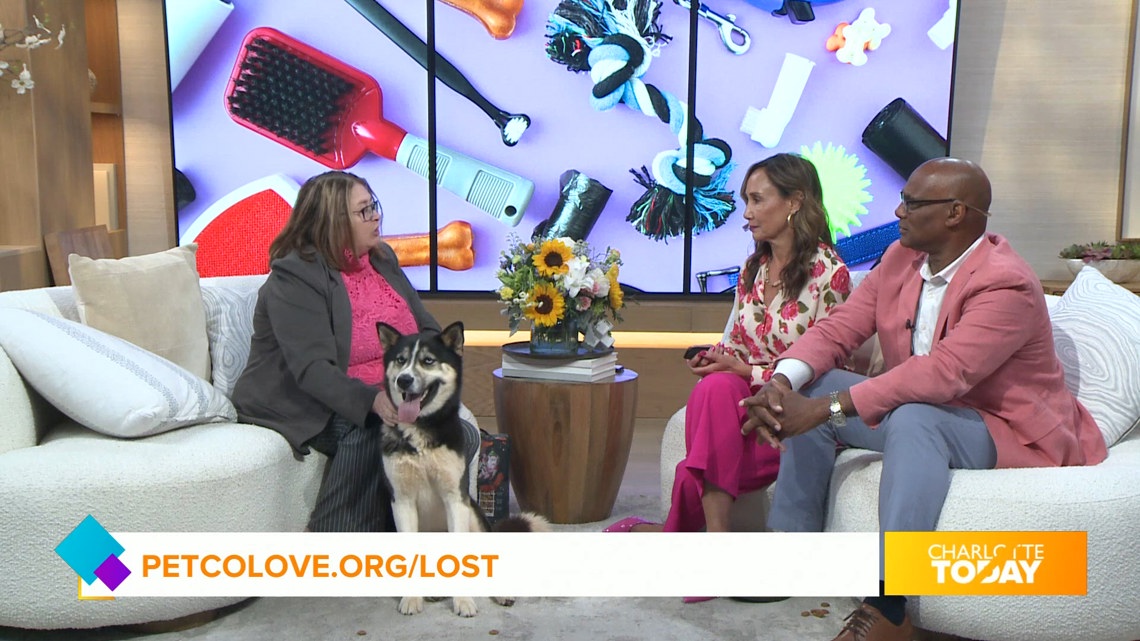New “Lost to Found” aims to reunite pets with owners