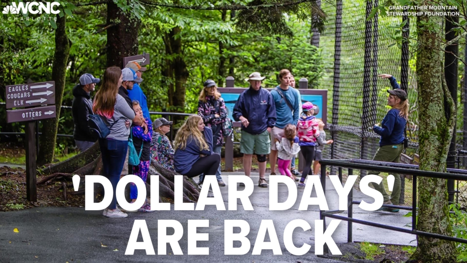 Dollar Days are back at Grandfather Mountain.