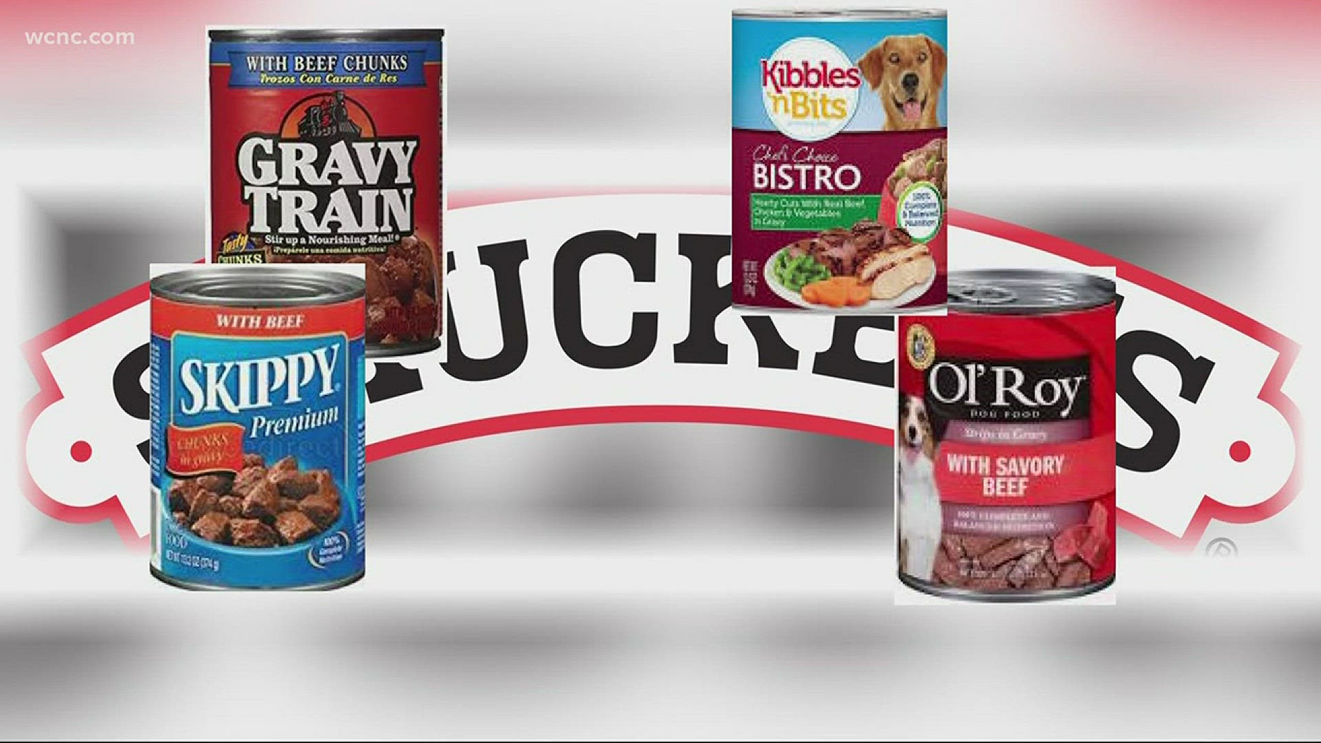 Dog food brands tainted with euthanasia drug