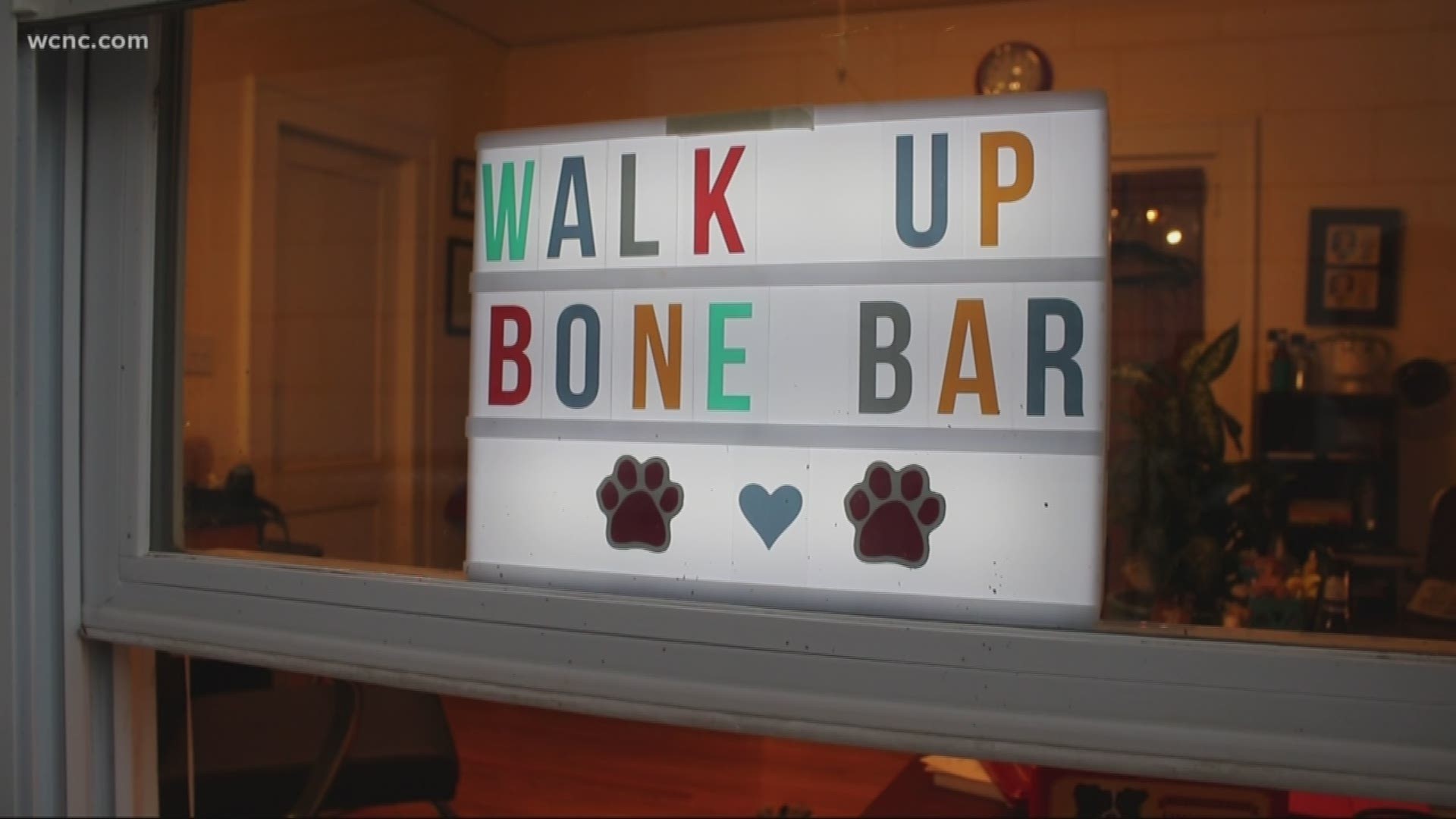 Stylist Anne Lawing runs a side hustle out of Creations by Curt Hair Studio. It's called the "Walk Up Bone Bar", and it's a popular hangout for canine clientele.