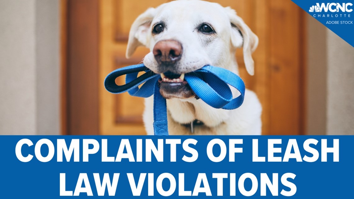 What are the leash laws in Charlotte?