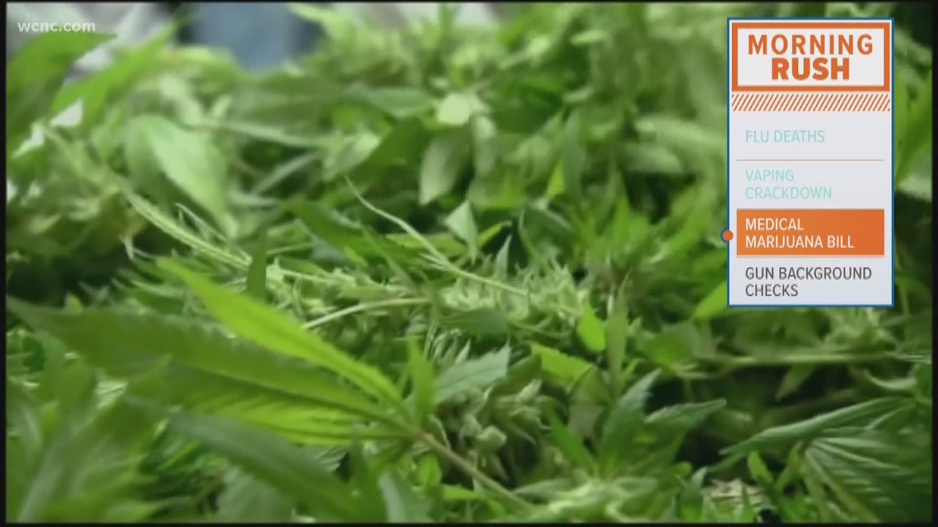 New Bill Would Allow Medical Marijuana In South Carolina Wcnc Com   731aac30 71e3 4654 A868 92b9ab19c8d5 1920x1080 