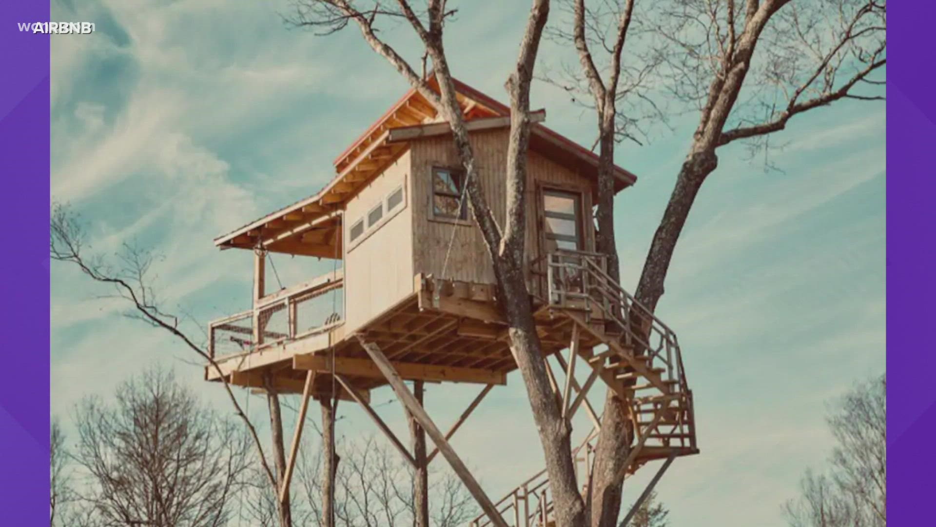 MUST WATCH: Man builds tree house in stranger's yard to watch Indy 500 -  YouTube