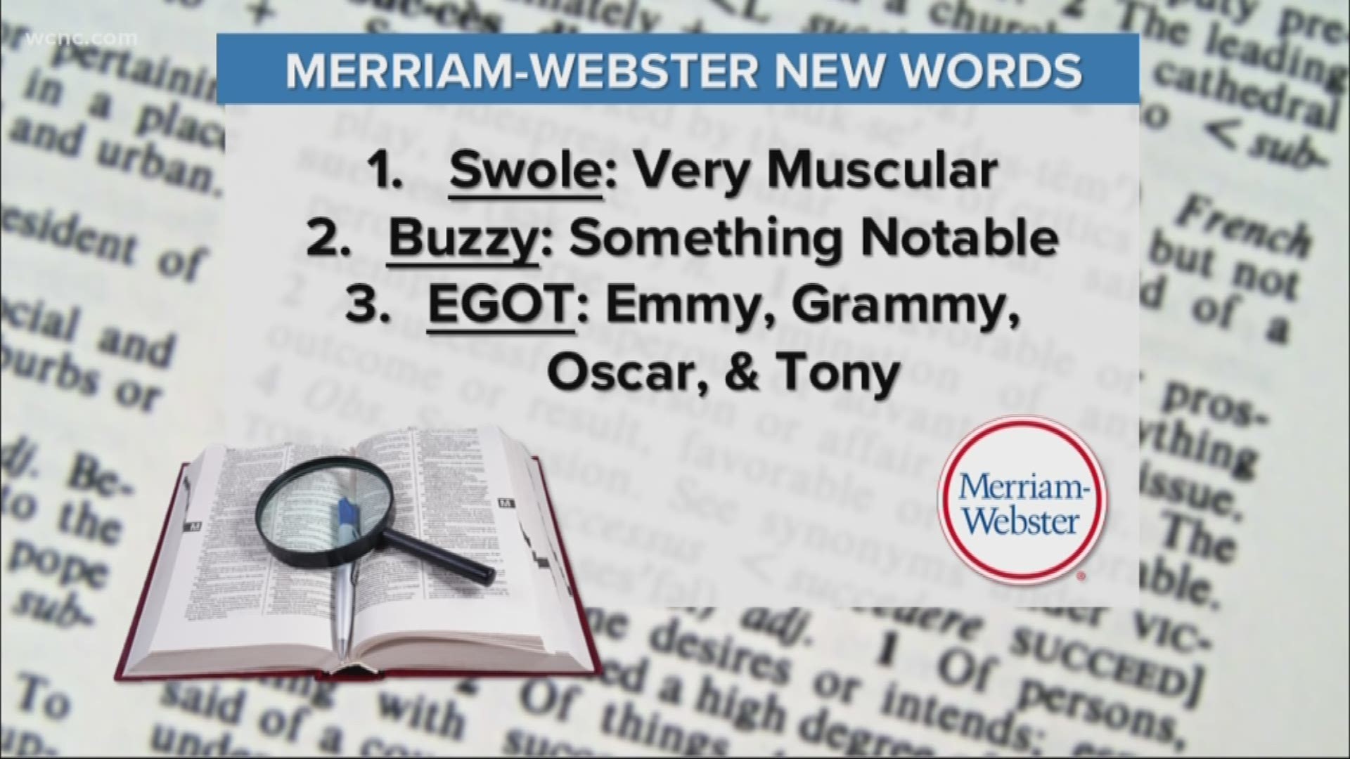Merriam-Webster added 640 new words to the dictionary this year, including swole, buzzy and EGOT. There's even a very popular Eminem reference on the list.