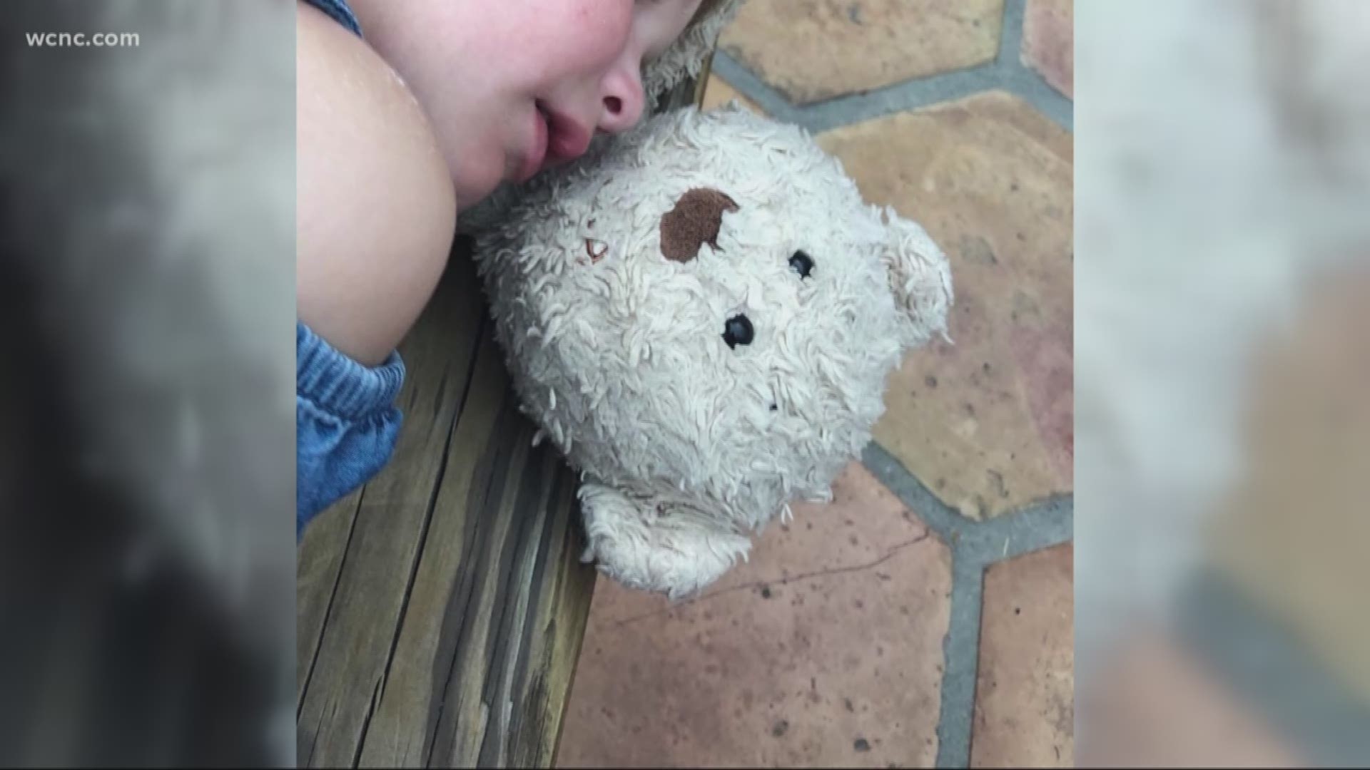 Family offers reward for missing teddy bear
