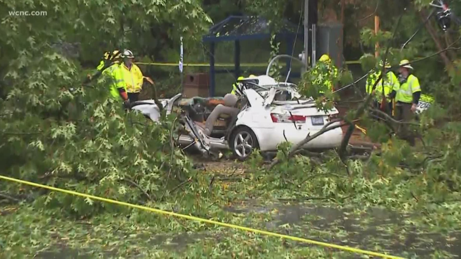 CMPD has part of a road closed after a tree fell onto a car, seriously injuring one person.
