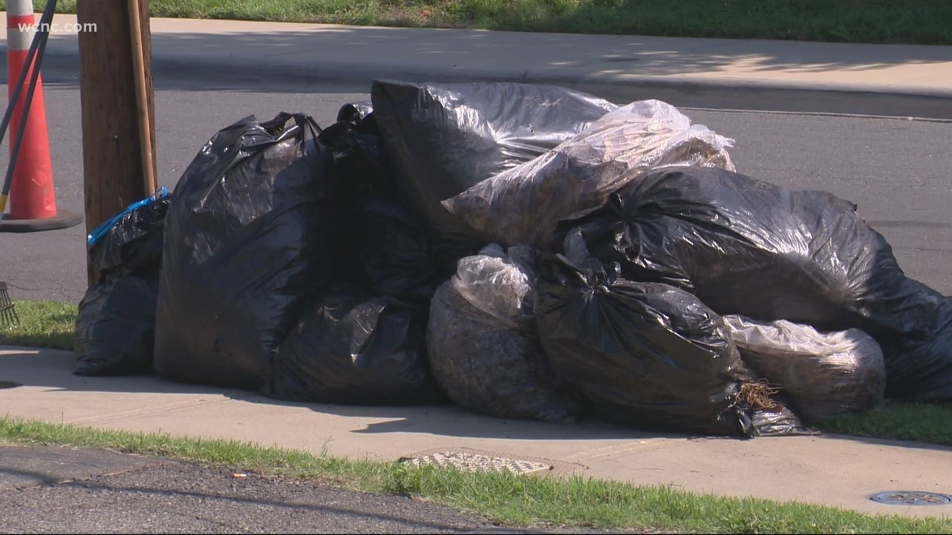 Charlotte enforcing paper bag mandate for yard waste
