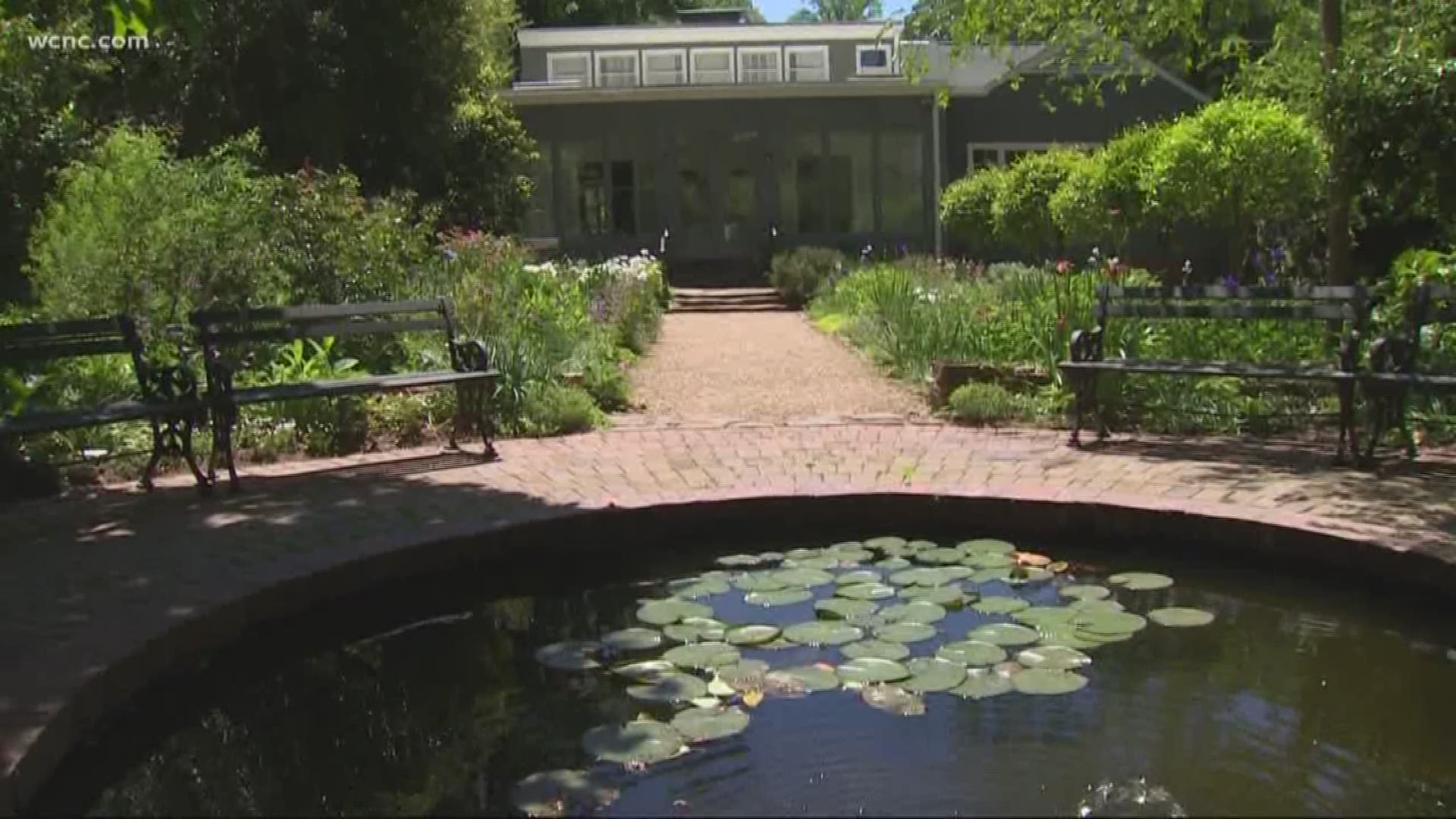 Susan Evans, Andrea Sprott and Jill Goodrich show us around the gardens