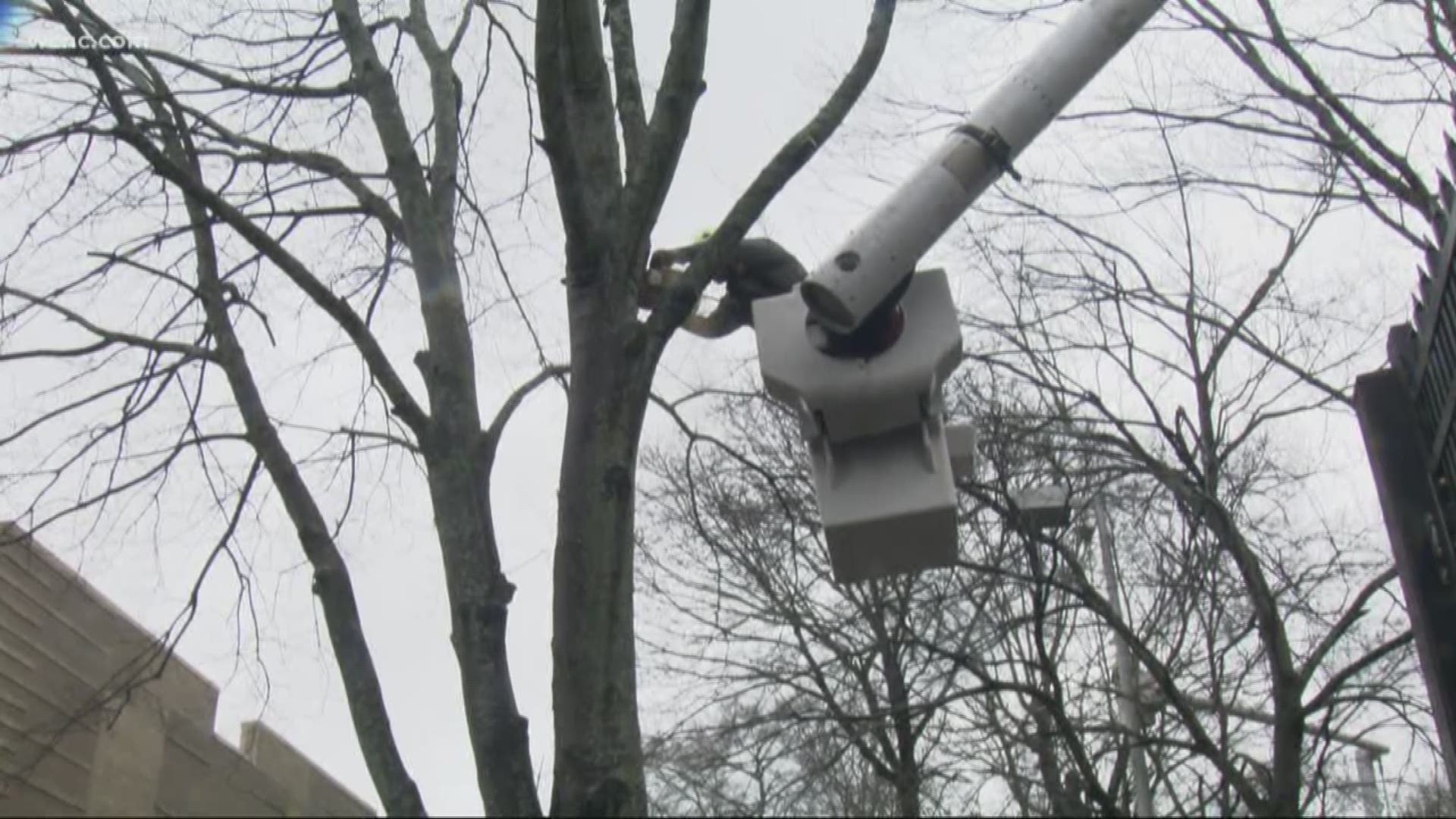 People are still cleaning up downed trees and limbs from the latest round of severe weather. But more rain is on the way, and more trees could still fall.