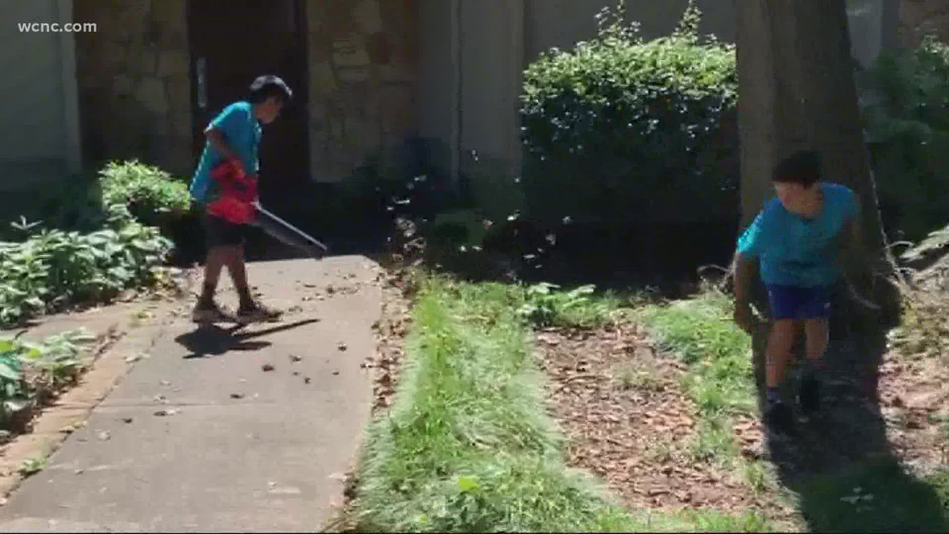 Two boys inspired by a social media challenge are doing good this summer. Plus, an animal shelter uses TikTok to find homes for pets.