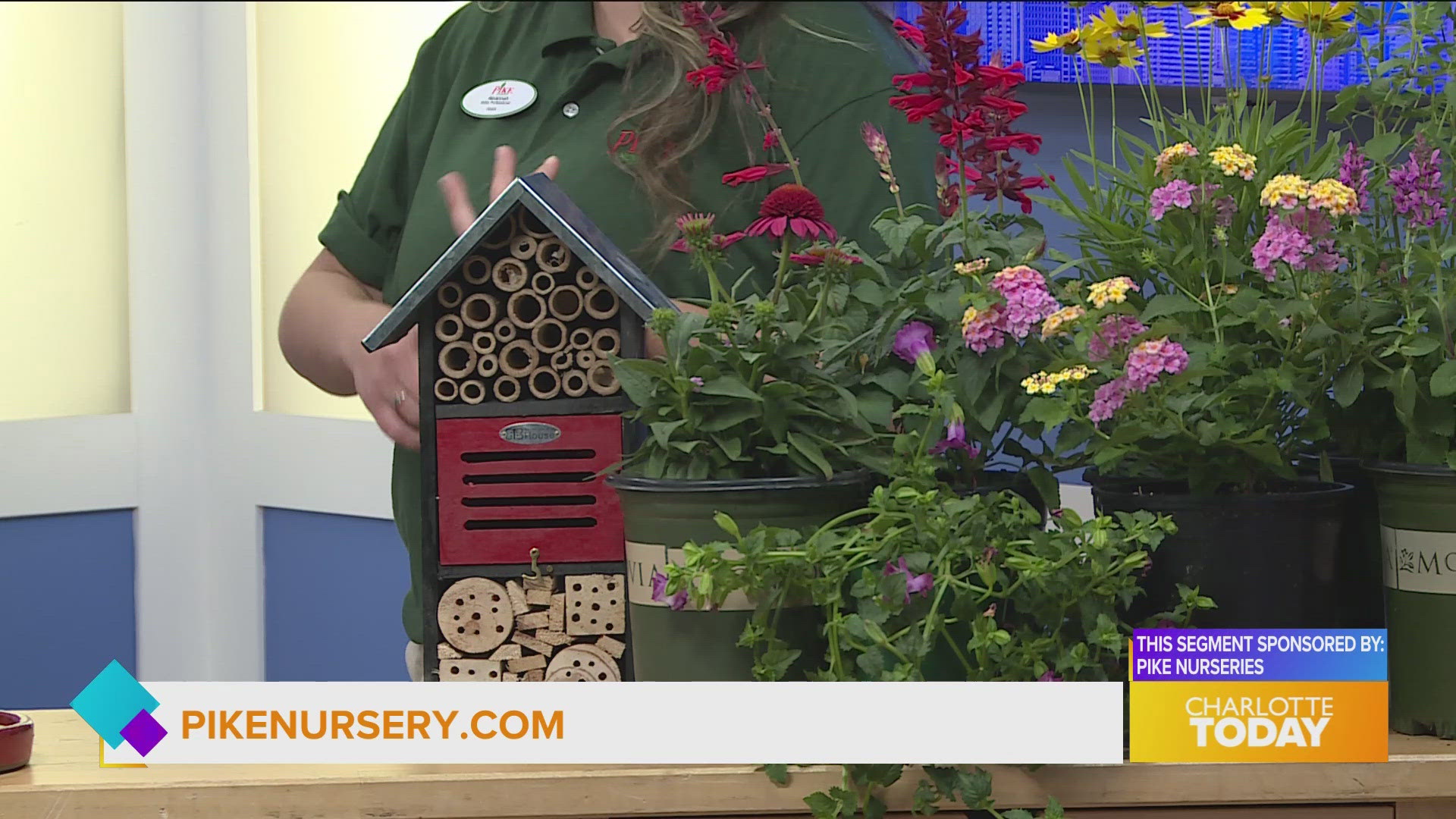 Attract Pollinators to your garden or yard