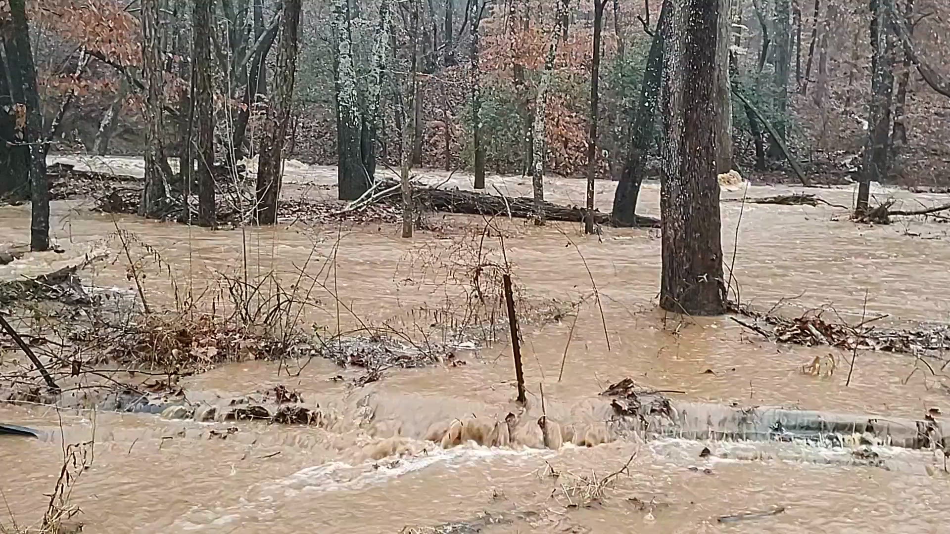 Herman's Branch behind Murray Elementary School | wcnc.com