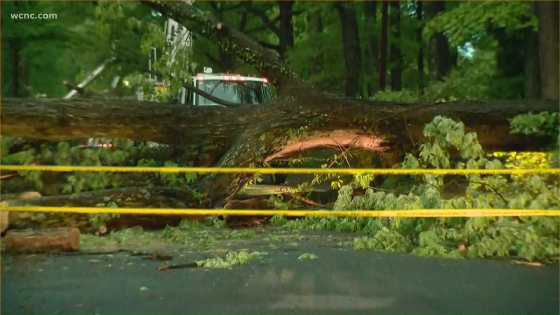 After several days of heavy rain, trees across the Charlotte area have fallen, knocking power out for several neighborhoods.