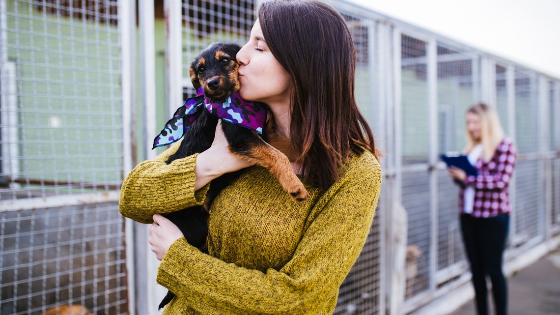 List of shelters participating in Clear the Shelters