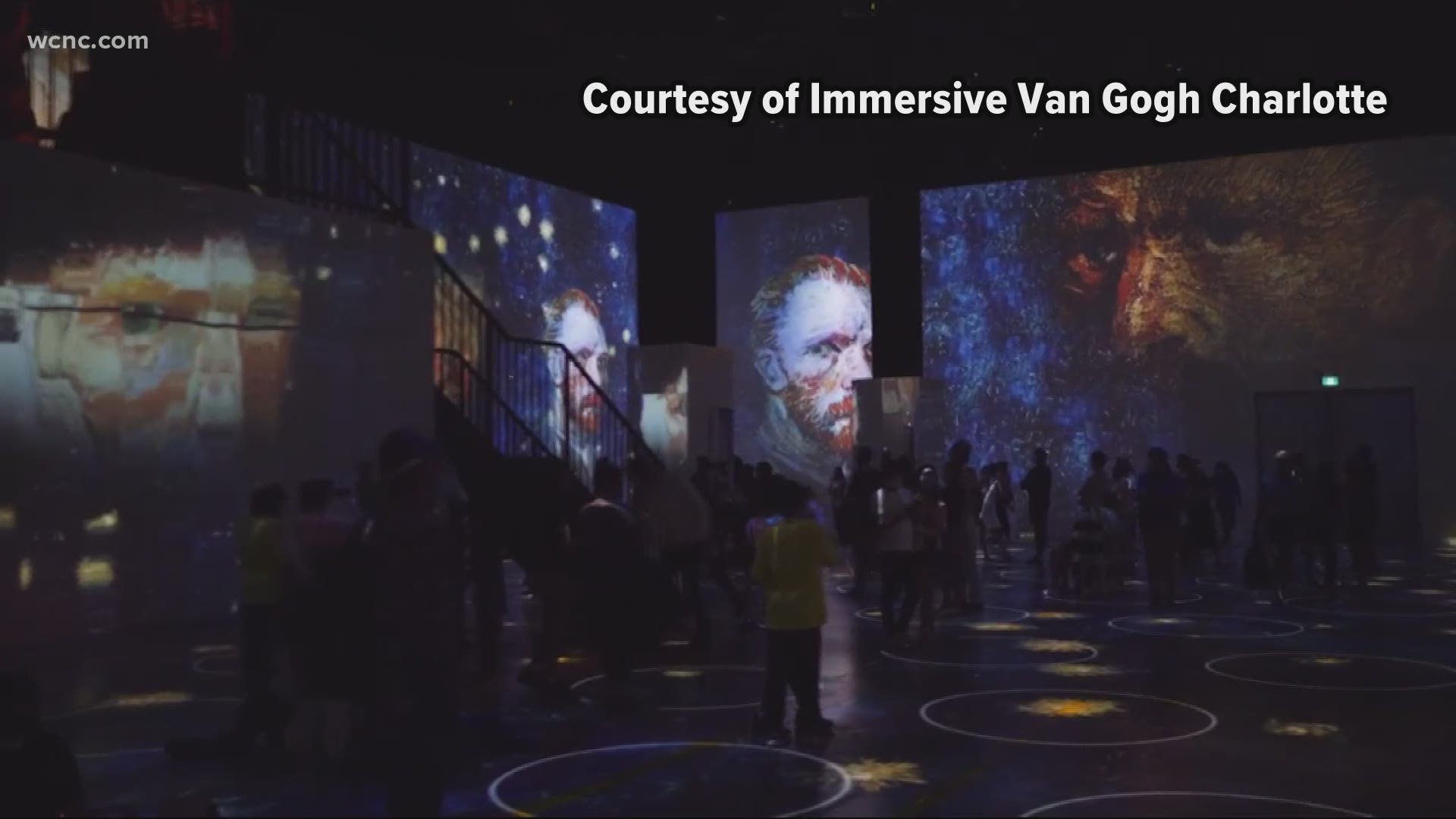 A one-of-a-kind virtual reality interactive guides you on a peaceful walk alongside Van Gogh to discover the inspiration behind eight of his iconic works.