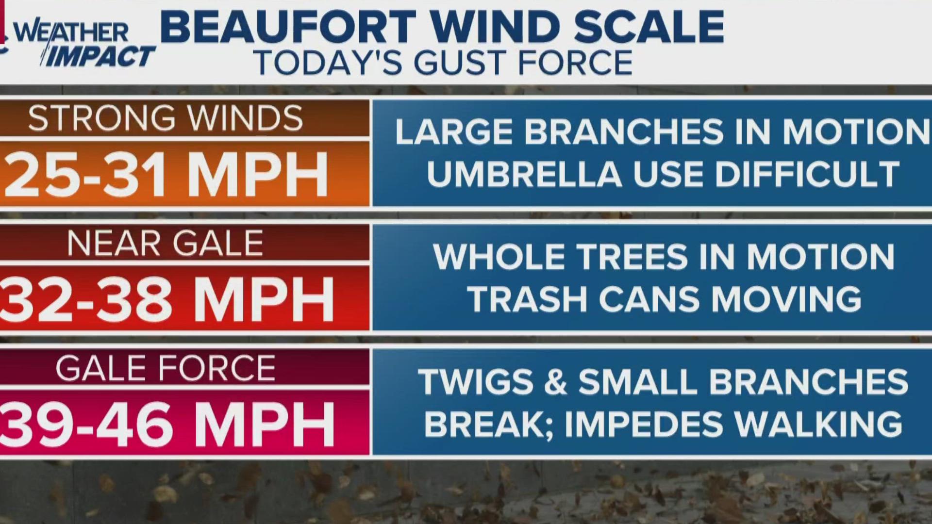 Meteorologist Chris Mulcahy explains the Beaufort Wind Scale, which explains the impacts of winds gusting at varying strengths. 