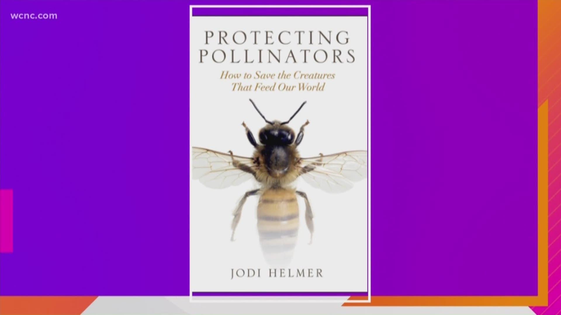 How To Protect Pollinators | Wcnc.com