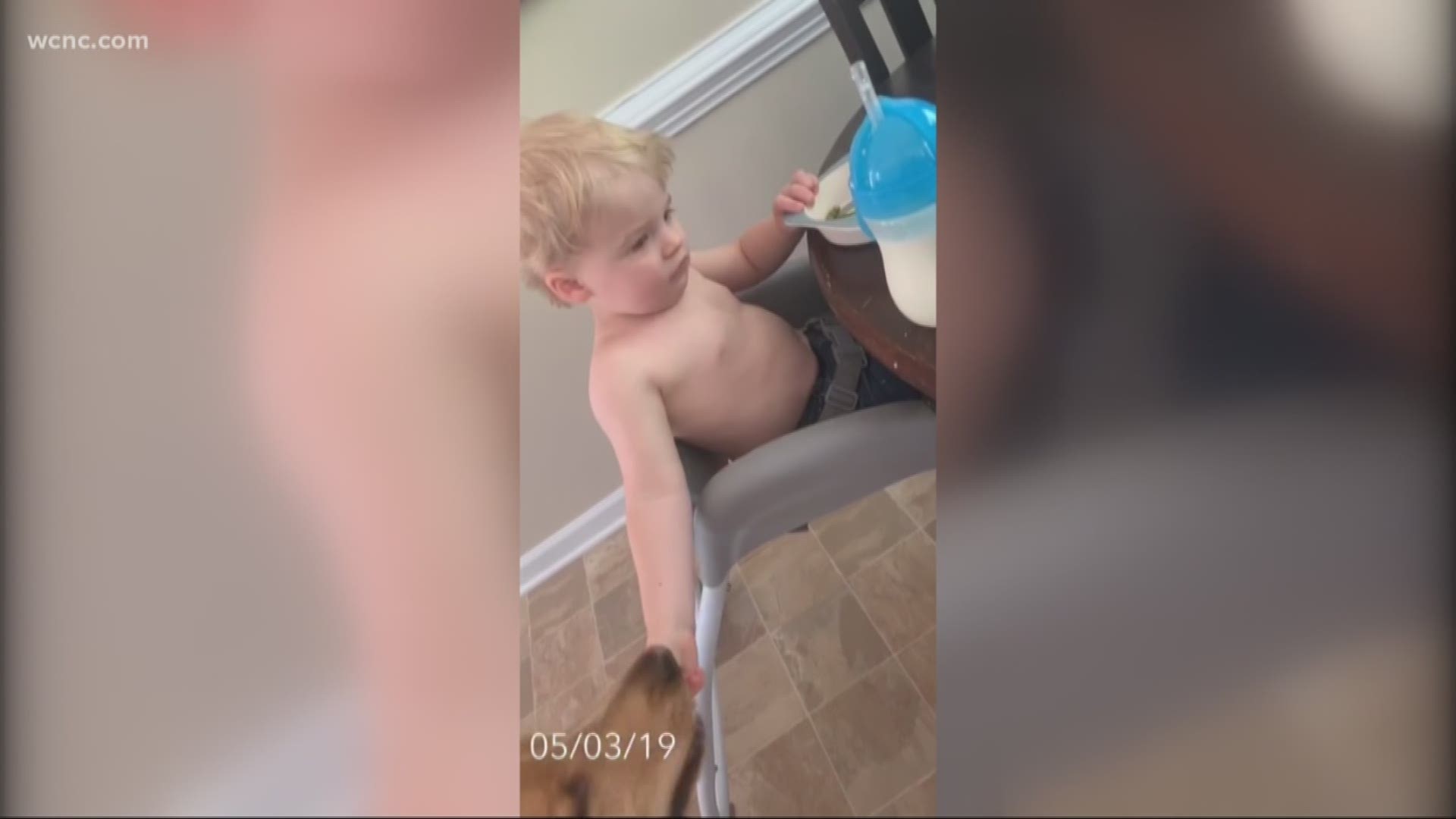 This little boy thought he'd pull a fast one on his mom by sneaking their dog green beans at the table. His mother had a different idea.