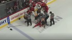 Checkers win a Calder Cup Finals game