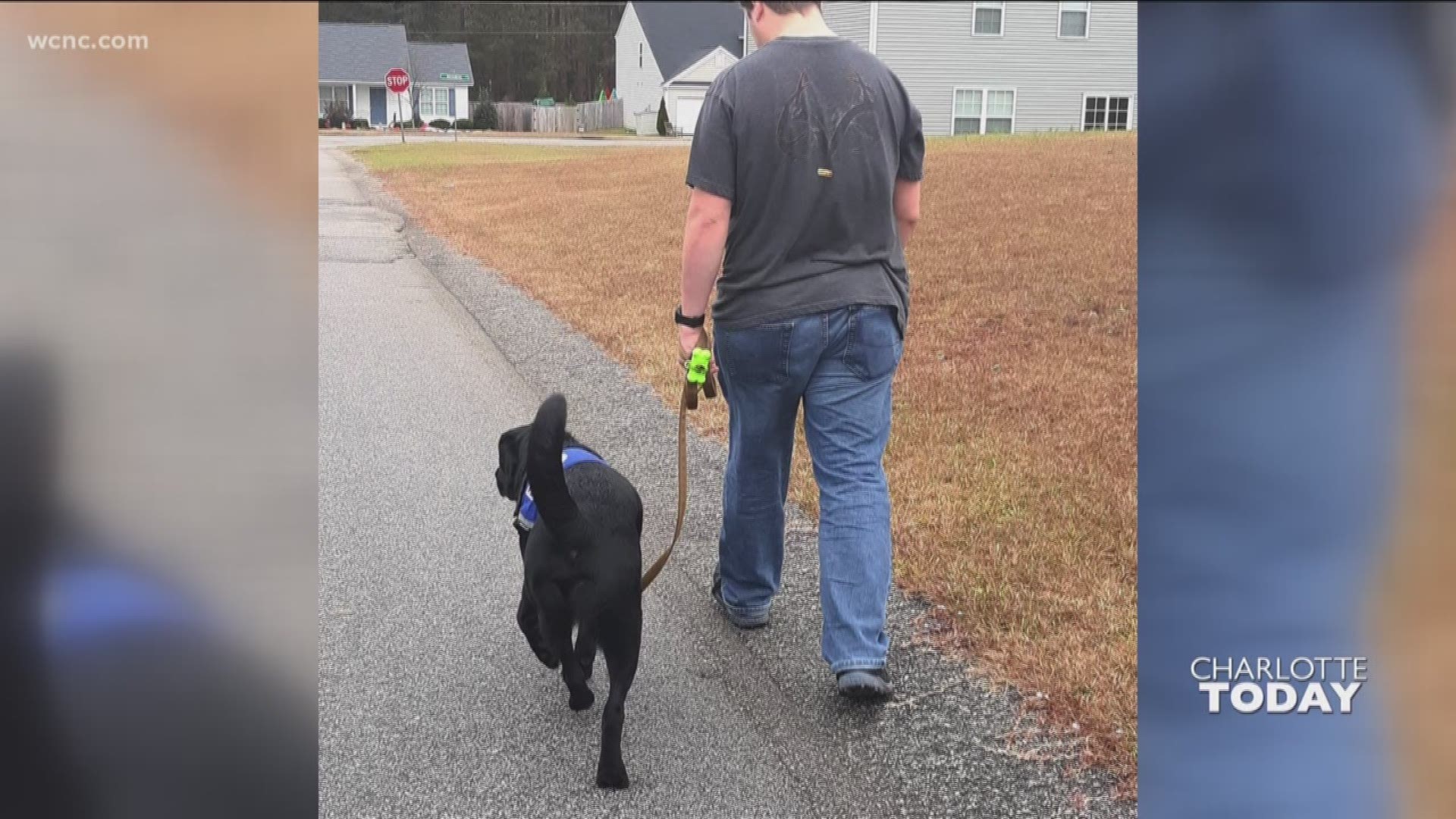 A local program, Continuing the Mission, aims to help veterans with PTSD by matching them with the right service dog.