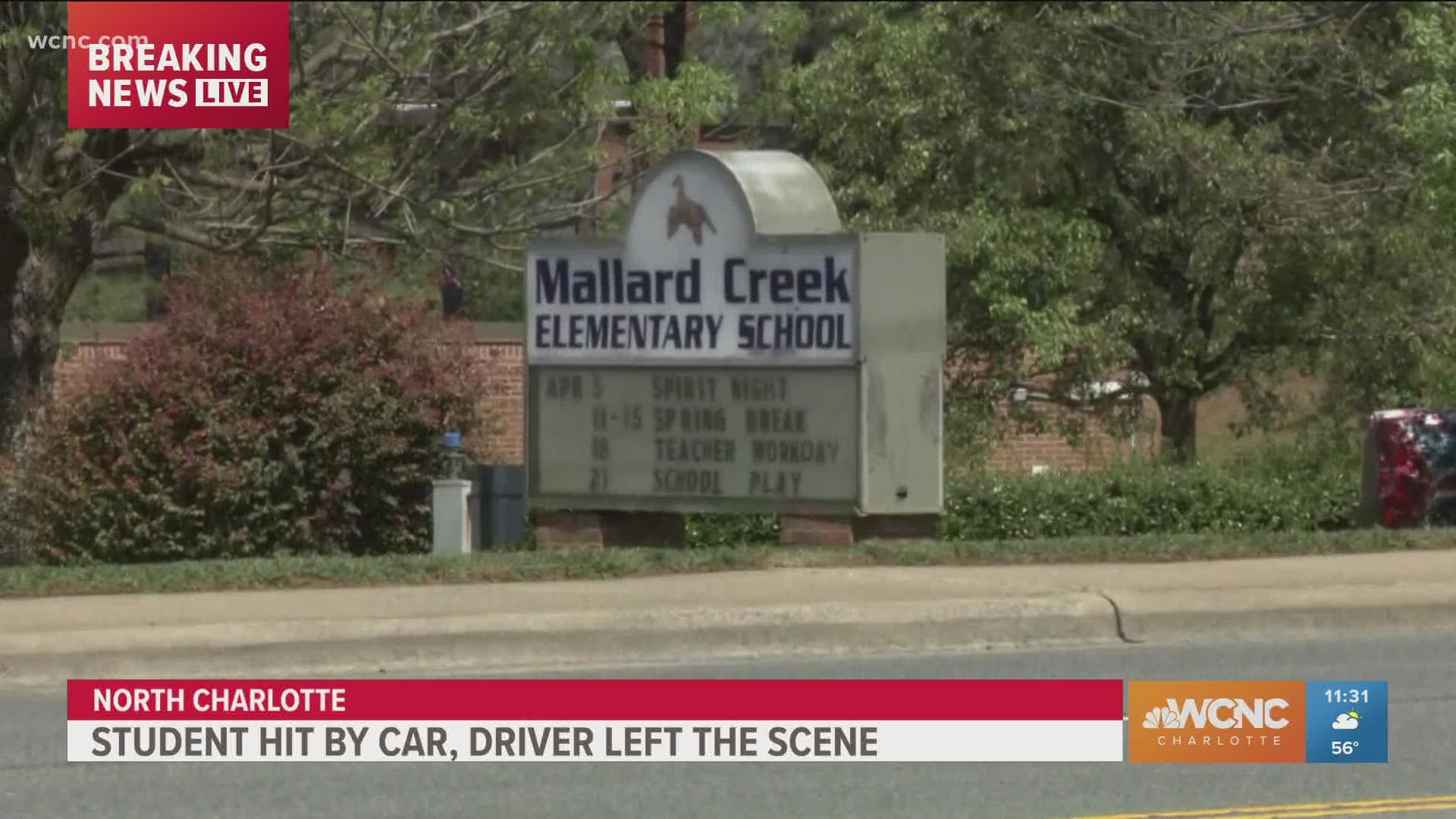 A fifth-grade Mallard Creek Elementary student was struck by a vehicle while waiting at the bus stop Wednesday morning, Charlotte-Mecklenburg Schools confirms.