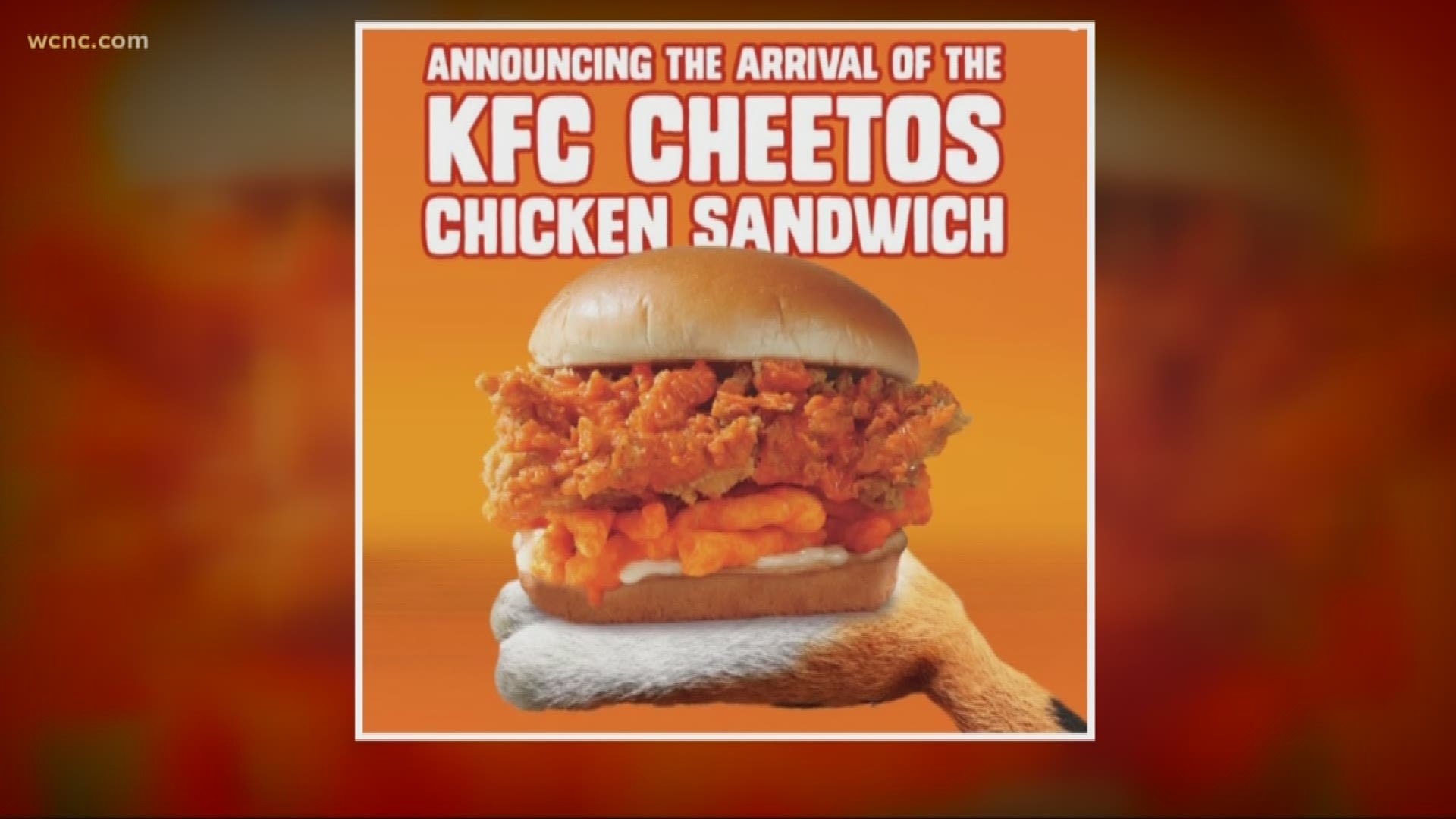 Taco Bell Introduces Crispy Chicken Sandwich Taco