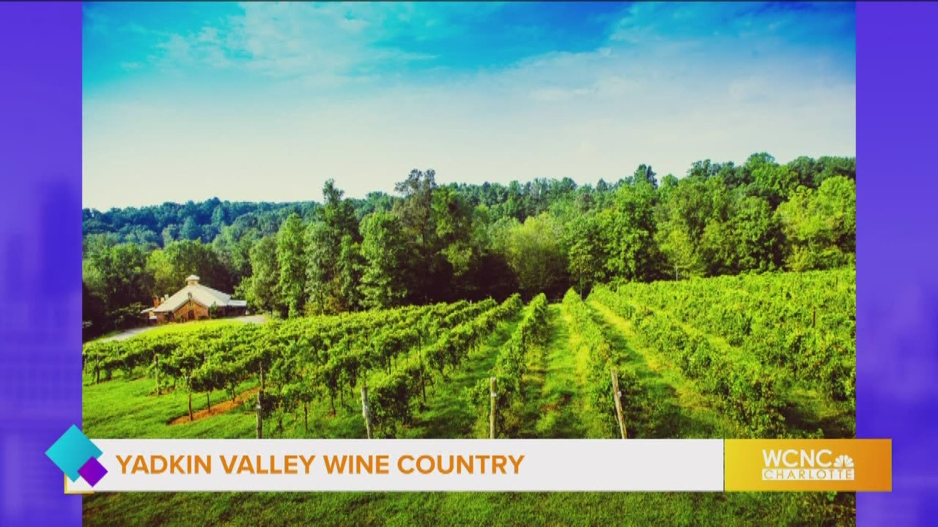 Explore the Surry County Wine Trail in Yadkin Valley Wine Country.