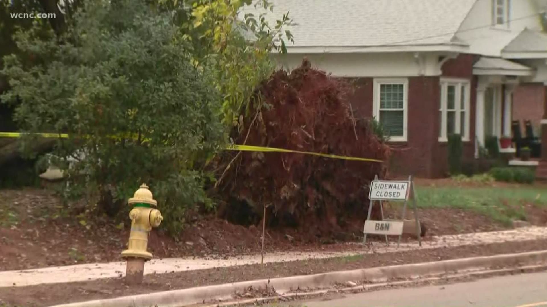 The homeowner was not home when the tree fell.