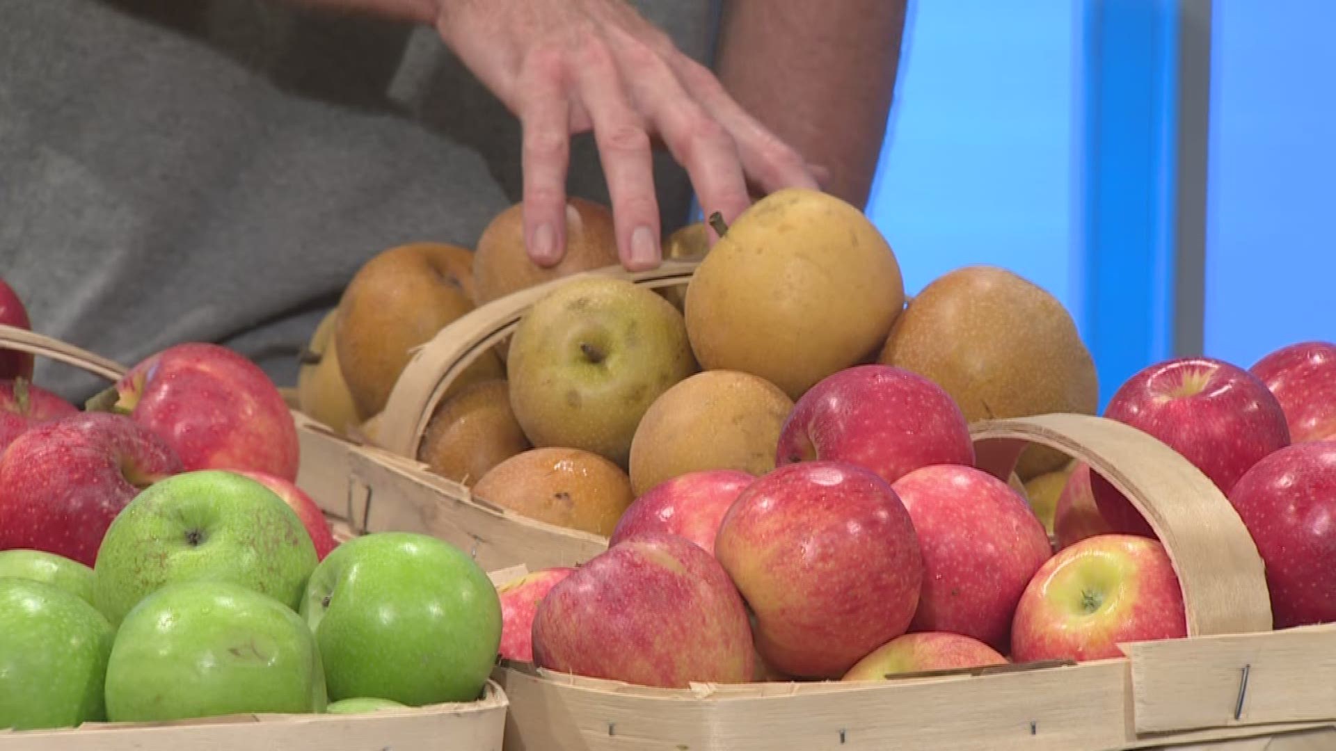 Jason stone from unity farms has a variety of apples. 