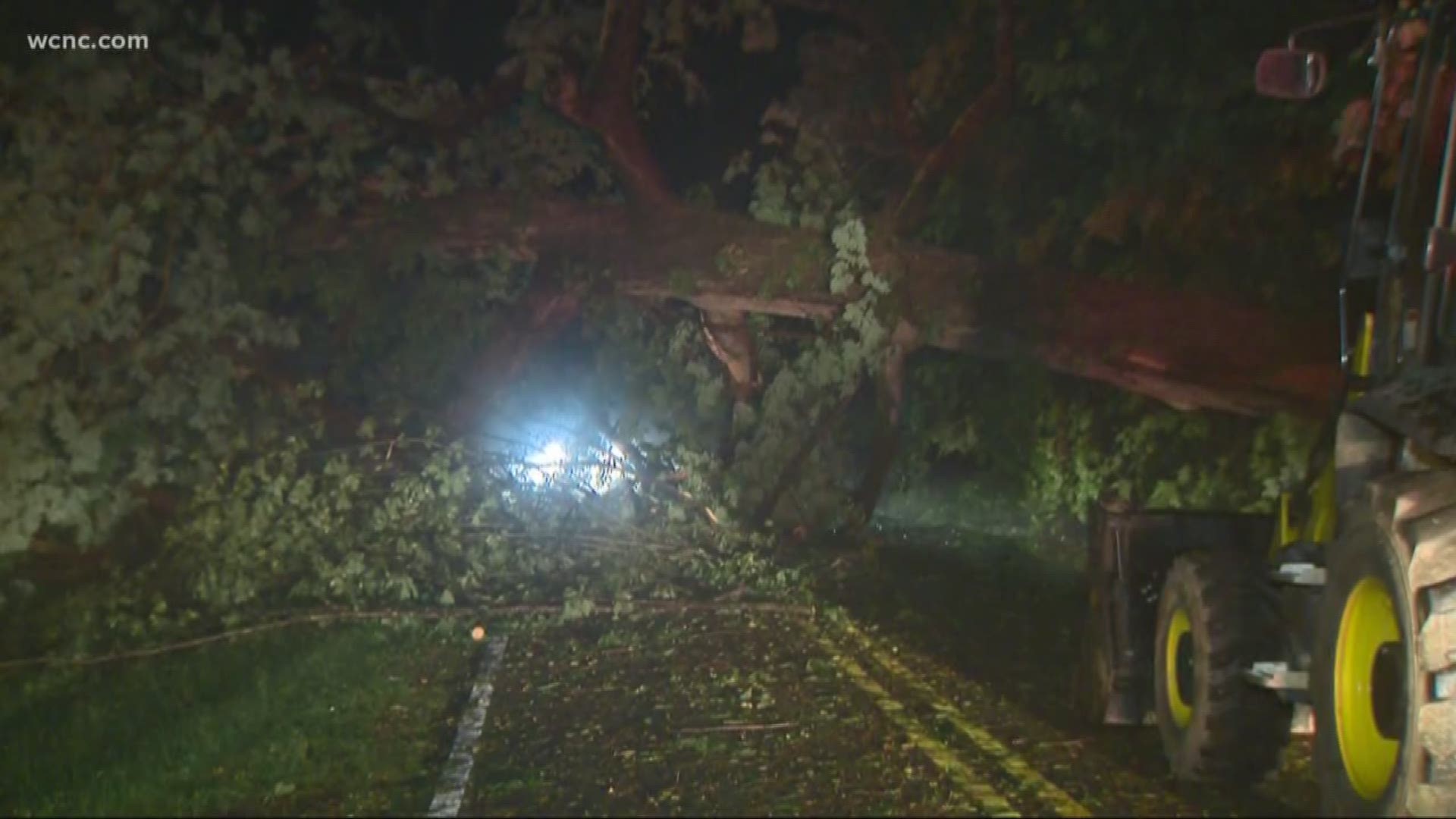 In addition to golf-ball-sized hail, there were downed trees caused by high winds