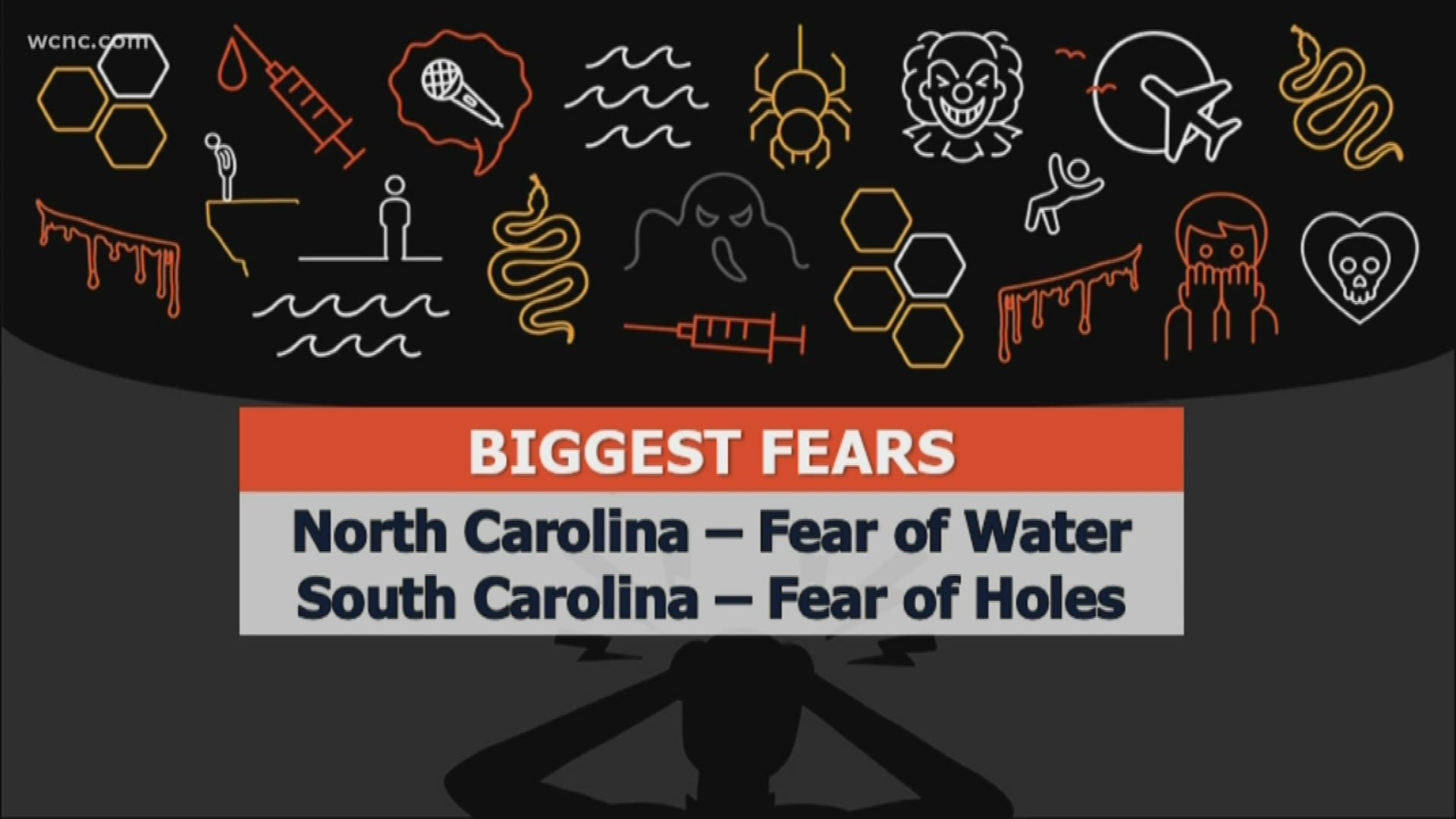 What is your biggest fear? A new study from a home security company found the top searched phobias in each state.
