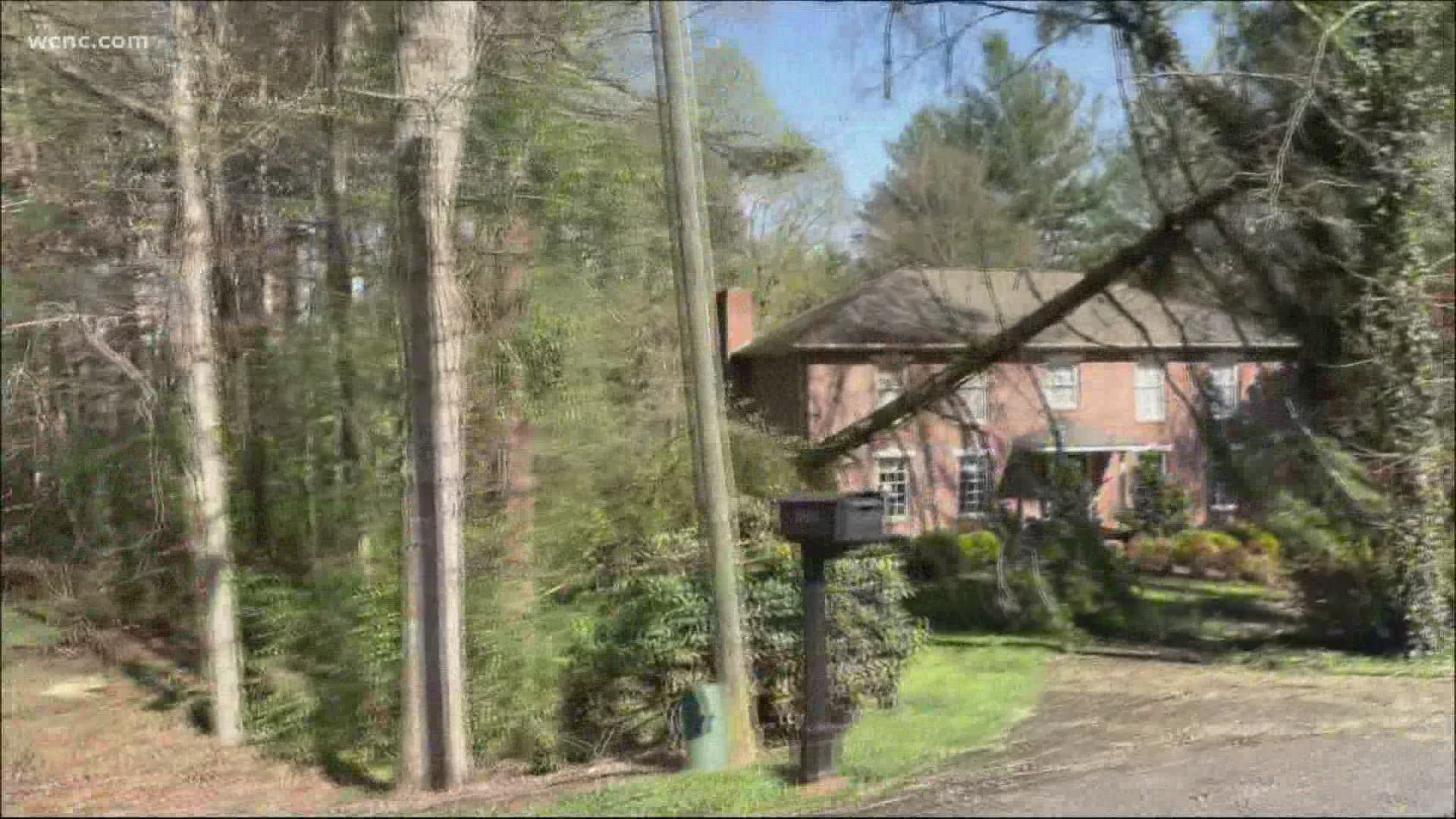 Downed trees and branches were seen in Burke County on Sunday after severe weather moved through the area.