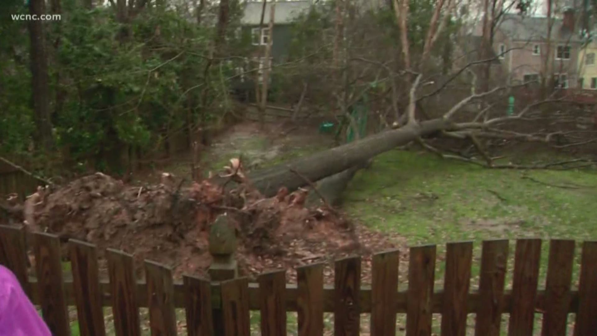 A grandmother said she took cover with her young grandson in the bathroom in south Charlotte Thursday afternoon as a possible tornado knocked trees down.