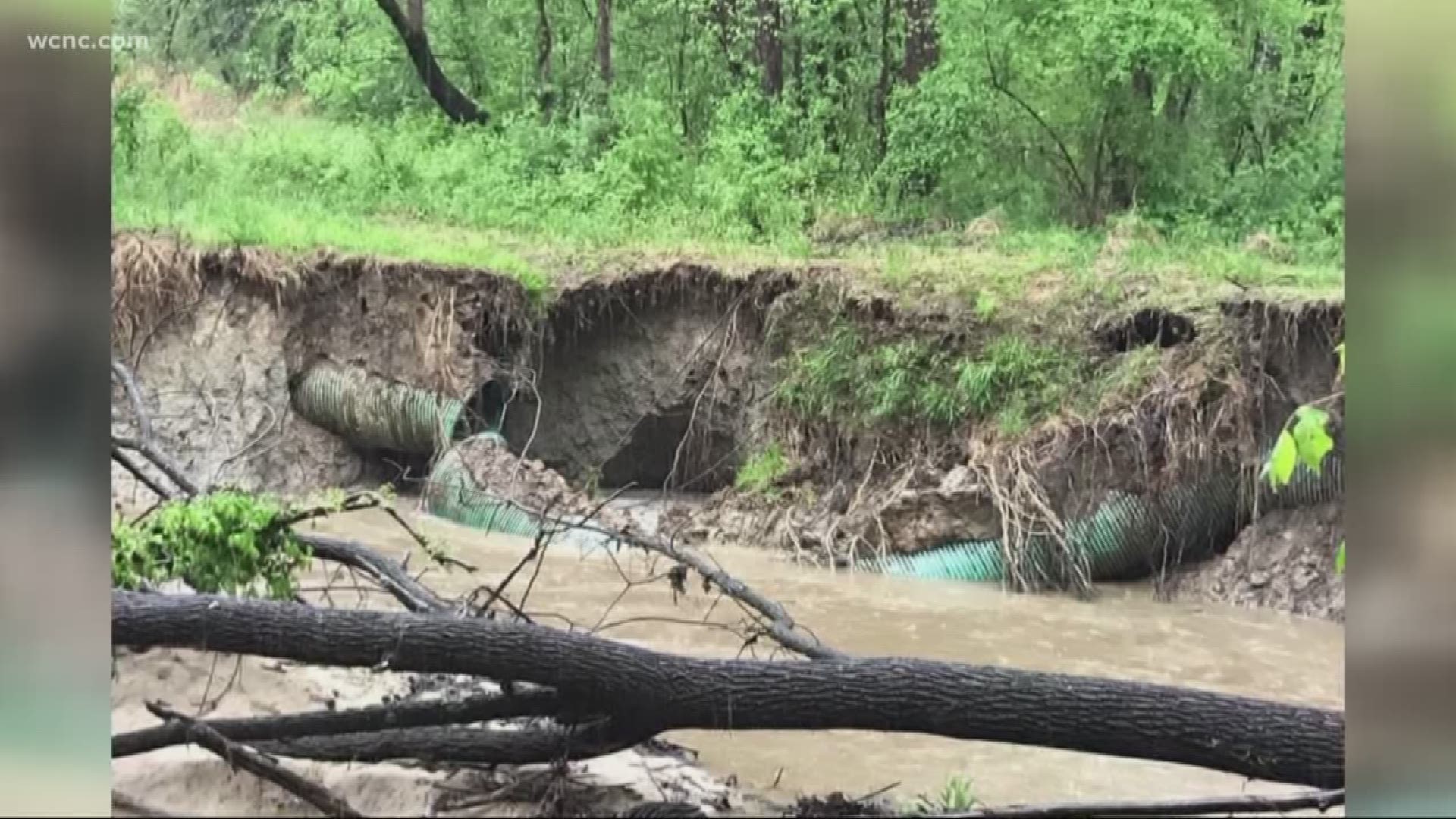 Charlotte Water said a downed tree from torrential rains led to a broken pipe and millions of gallons of sewage being spilled into a local creek.
