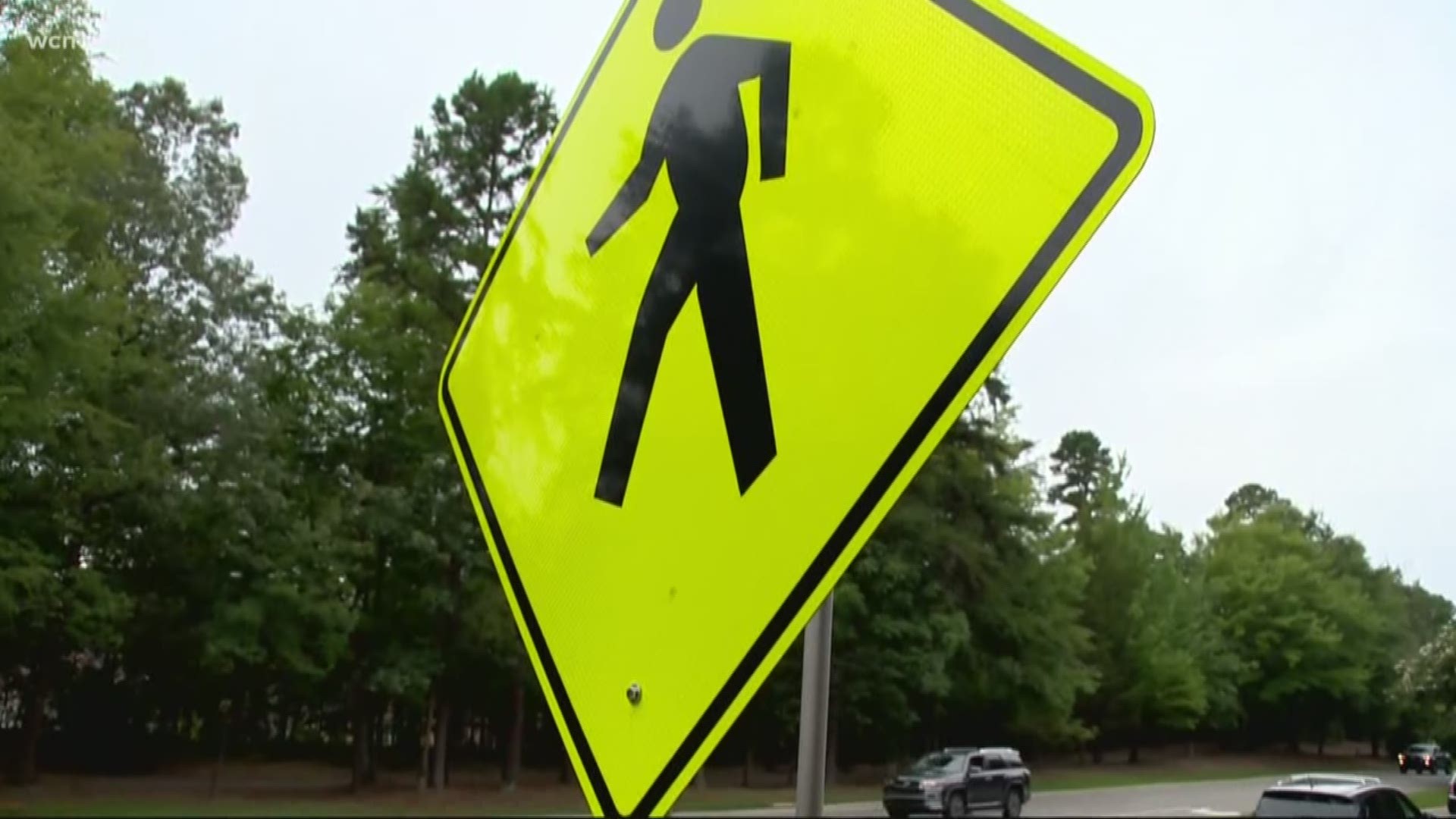 Last year, 225 pedestrians were killed in North Carolina. That's up more than 12% from 2017. Those numbers were released Tuesday in a report by the state DMV.