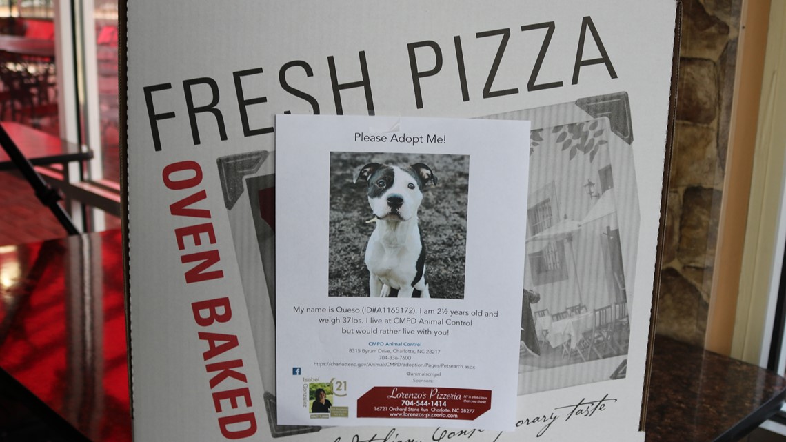 Matawan Pizzeria Puts Missing Pet Pics On Their Pizza Boxes